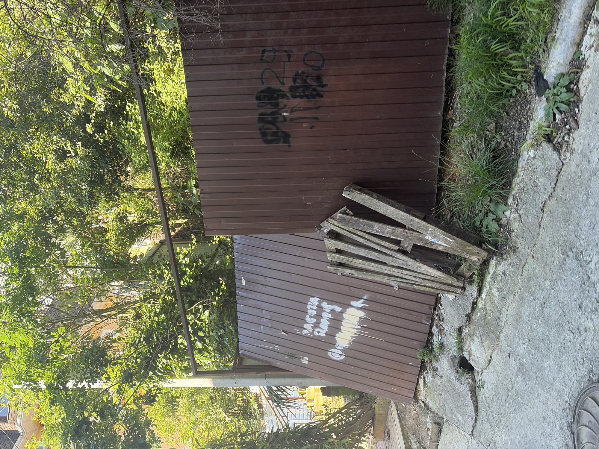 The image depicts an outdoor scene, likely a boundary or undeveloped patch bordering a residential area in Sochi, Russia, captured during daylight under sunny conditions.
The primary subject is a tall, corrugated metal fence, brown and showing signs of wear and graffiti. The fence runs horizontally across the frame, dividing the view. To the left of the fence, dense green foliage and trees are visible, with hints of buildings peeking through the canopy in the distance, suggesting residential structures or backyards.
On the upper section of the fence, there is black graffiti, partially legible as "C.20" followed by what appears to be "24" or "94" and other smudged characters. Below this, leaning against the lower section of the fence, is a pile of old, weathered wooden planks. On the lower part of the fence, to the left of the planks, there is white and yellow graffiti. The white text clearly spells "РАБОТА" (RABOTA, meaning 'work') and "КРОППЕР" (KROPPER). Below this, a splattered, faded yellow-white text is visible but illegible.
The ground to the right of the fence is concrete, cracked in several places, with patches of grass and weeds growing through the cracks and along the fence line. A partially visible manhole cover can be seen in the lower right corner of the concrete. There is no explicit human activity taking place, but the graffiti indicates recent human presence.