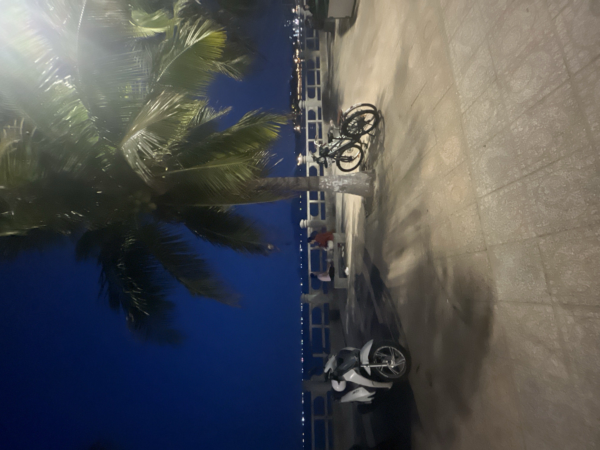 The image shows a nighttime scene. In the left foreground, a large palm tree with its fronds partially obscures a dark blue sky. A line of lights stretches into the distance, suggesting a city skyline across water. Adjacent to a stone walkway, a series of white pillars creates a barrier. Two bicycles are parked near the pillars, while two people are seated on a bench. A motorcycle rests against the walkway. The location appears to be a seaside promenade.