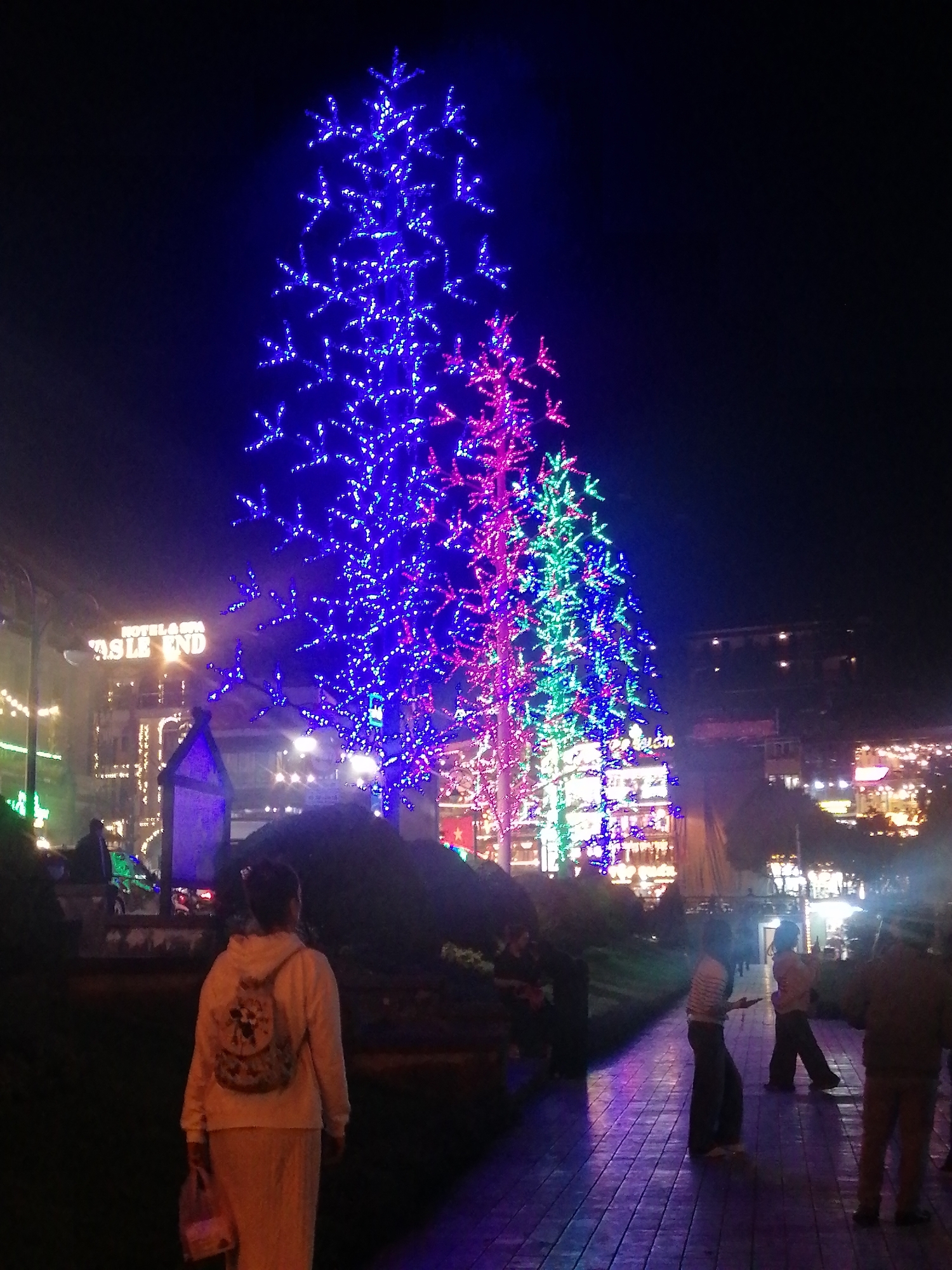 The image depicts a vibrant nighttime scene in a public area, likely in Sa Pa Ward, Vietnam, characterized by extensive artificial illumination. The focal point is a row of three trees, each adorned with numerous LED lights forming snowflake-like patterns. The first tree is predominantly blue, followed by one with magenta lights, and the furthest one displaying green lights, creating a striking colorful display against the dark sky.
In the foreground, a person walks away from the viewer on a paved pathway, which reflects the purple and blue tones from the lights. This individual wears a light-colored hooded sweatshirt with a patterned backpack and light-colored lower garments, holding a plastic bag in their right hand. Several other blurred figures of people are visible further along the path and to the sides, suggesting a leisurely evening stroll.
In the background, buildings with various lights indicate an urban or town setting. Partial text on one building is visible, reading "HOTEL & SPA" and "ASLE END" (likely part of a larger word like "CASTLE END"). To the left of the foreground figure, a small, dark structure resembling a miniature house or shrine is present. The time of day is clearly night, emphasized by the dark surroundings and the glowing artificial lights. The scene portrays a festive and enjoyable atmosphere, with people out and about, appreciating the illuminated decorations.
