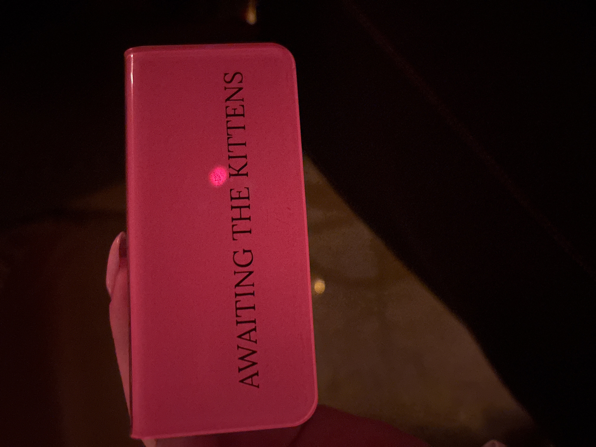 A pink, rectangular book with the words "AWAITING THE KITTENS" vertically printed on its cover is being held in a hand. The background is dark, suggesting an indoor setting, possibly a restaurant or bar given the dim lighting and the presence of a dark-colored surface behind the book, which may be a table or booth. The image provides no evidence to suggest the location is Sofia, Bulgaria.