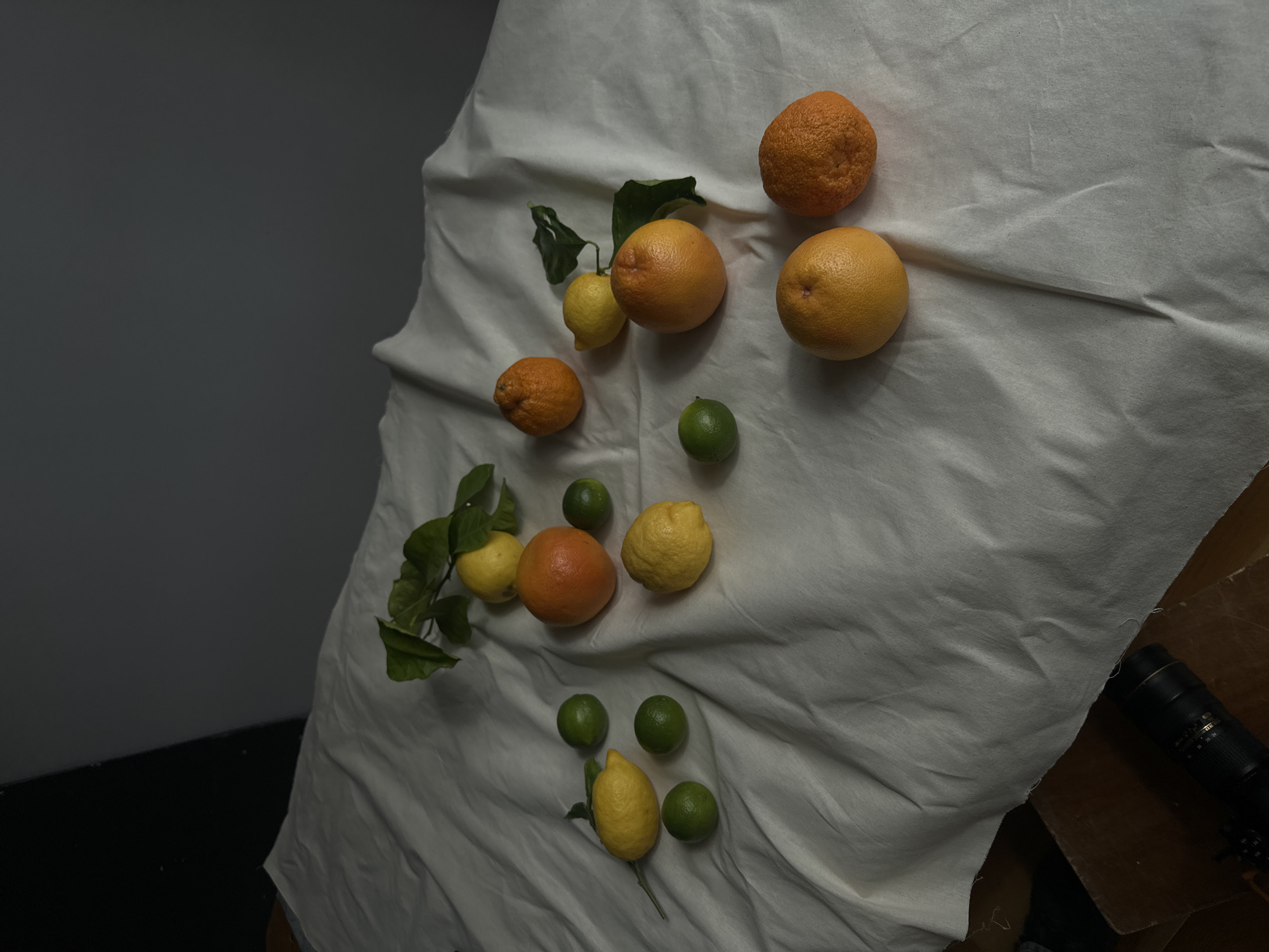 The image presents an overhead view of a still life composition featuring a variety of citrus fruits arranged on a crumpled, light-colored fabric. The fruits include several oranges (some with a textured peel, others smoother like grapefruits), lemons (some still attached to leafy branches), and small, vibrant green limes, scattered across the fabric.
The off-white or cream-colored fabric is draped over an unseen surface, creating natural folds and shadows that add texture and depth to the scene. To the left, a dark grey wall serves as a plain backdrop, meeting a darker, possibly black, surface or floor in the lower left corner.
The lighting appears directional, likely coming from the upper right, casting distinct shadows from the fruits onto the fabric and enhancing their three-dimensional quality. The overall mood is subdued and artful, characteristic of a studio setup for photography or artistic study.
In the bottom-right corner, partially obscured by the fabric and resting on a brown surface, is a black camera lens, possibly a telephoto or zoom type. No discernible text is clearly visible on any of the fruits, fabric, or the lens itself. The composition is entirely focused on the fruits and their immediate setting, suggesting a carefully arranged subject for visual capture. The scene is set indoors.