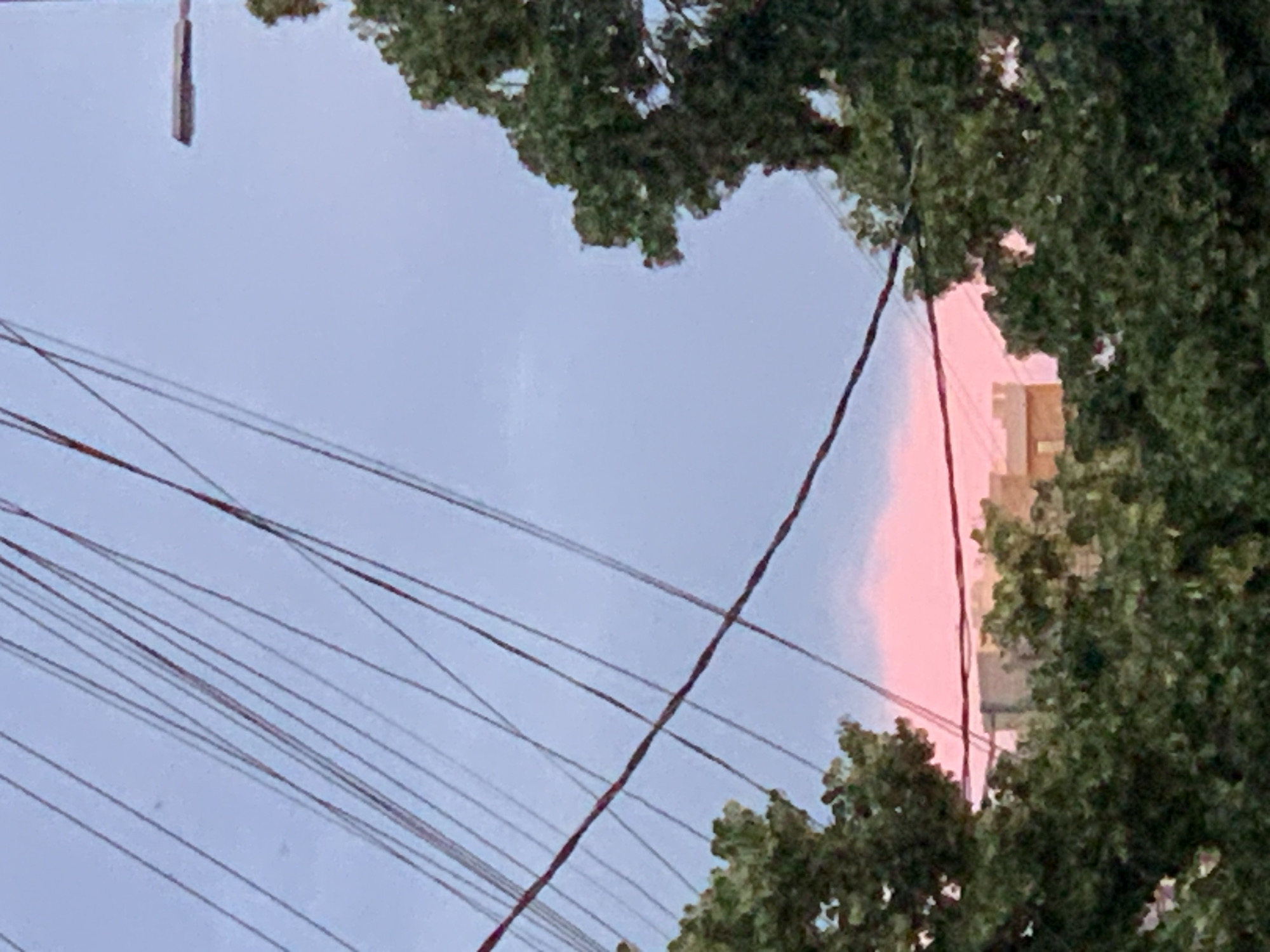 The image displays a view of a cityscape with a soft pink glow in the sky, suggestive of a sunset or sunrise. Overhead, numerous wires crisscross the frame, forming a complex network. In the foreground, lush green foliage from trees partially obscures the view. Behind the trees, buildings with a light-colored facade are visible, some with distinctive architectural features like crenellations. To the right of the frame, a street lamp is mounted on a pole. The sky is a pale blue, with the pink hue concentrated towards the horizon. There are no people or animals present in the image.