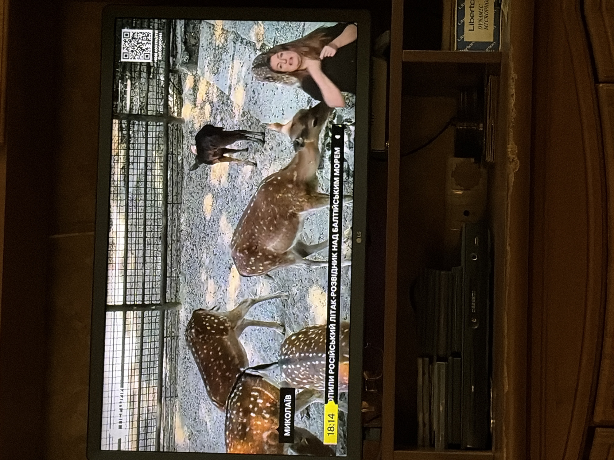 The image shows a television screen displaying a news broadcast. The broadcast features a segment about spotted deer in an enclosure. In the foreground of the screen, there are several spotted deer. In the background, a black calf can be seen. To the right of the screen, there is a female sign language interpreter. A timestamp "18:14" is visible, along with text in Ukrainian that reads "МИКОЛАЇВ" and "ЗПИЛИ РОСІЙСЬКИЙ ЛІТАК-РОЗВІДНИК НАД БАЛТІЙСЬКИМ МОРЕМ". The television is placed on a wooden stand, on which there is a DVD player and some other electronic devices. The environment appears to be a living room or a similar indoor setting, given the wooden furniture and the presence of a television. The image quality is moderate, with some graininess.
