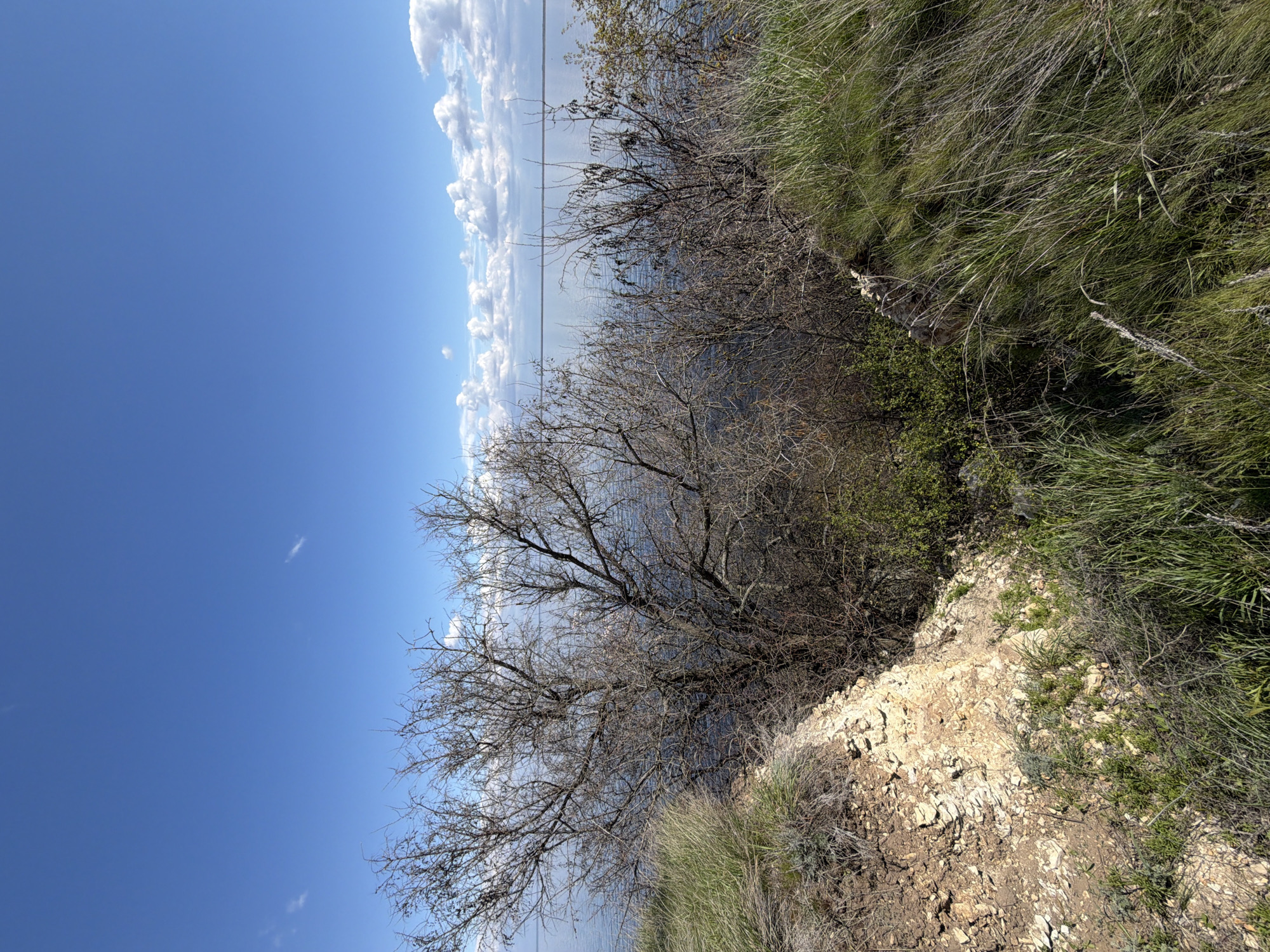 The image depicts a view from an elevated point of land, likely a cliff edge or hillside, overlooking a body of water. The sky is predominantly blue with scattered white clouds. Bare trees and shrubs are present on the edge of the bluff, along with grassy vegetation. The ground is rocky and appears to be eroding. It is not possible to confirm the location is Kamyshin, Russia, based on the image alone. There are no people, subjects, or actions visible.