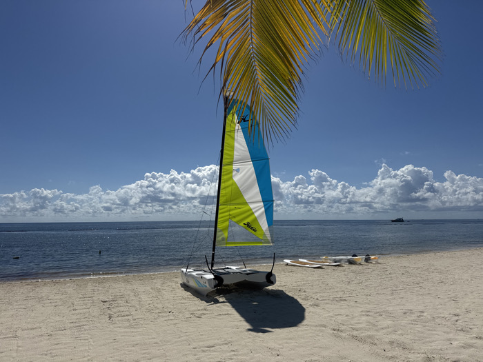 The scene depicts a sunny beach at Marina Maroma, Mexico, under a clear blue sky with a band of white cumulus clouds along the horizon. A palm frond extends into the upper right and central frame. The foreground consists of light-colored sand. A white and grey Hobie Cat catamaran, featuring an upright sail with vertical sections of neon green, white, and light blue (displaying the "Hobie" logo), is beached on the sand to the left, casting a dark shadow. Two light-colored paddleboards lie flat on the sand to the right of the catamaran, parallel to the water's edge. The calm blue ocean extends from the shoreline to the horizon. In the water, a line of dark markers or buoys is visible in the mid-distance, and a single dark floating object is present closer to the left shore. A dark-hulled motor yacht is discernible on the distant horizon line towards the right. No individuals are present in the image.