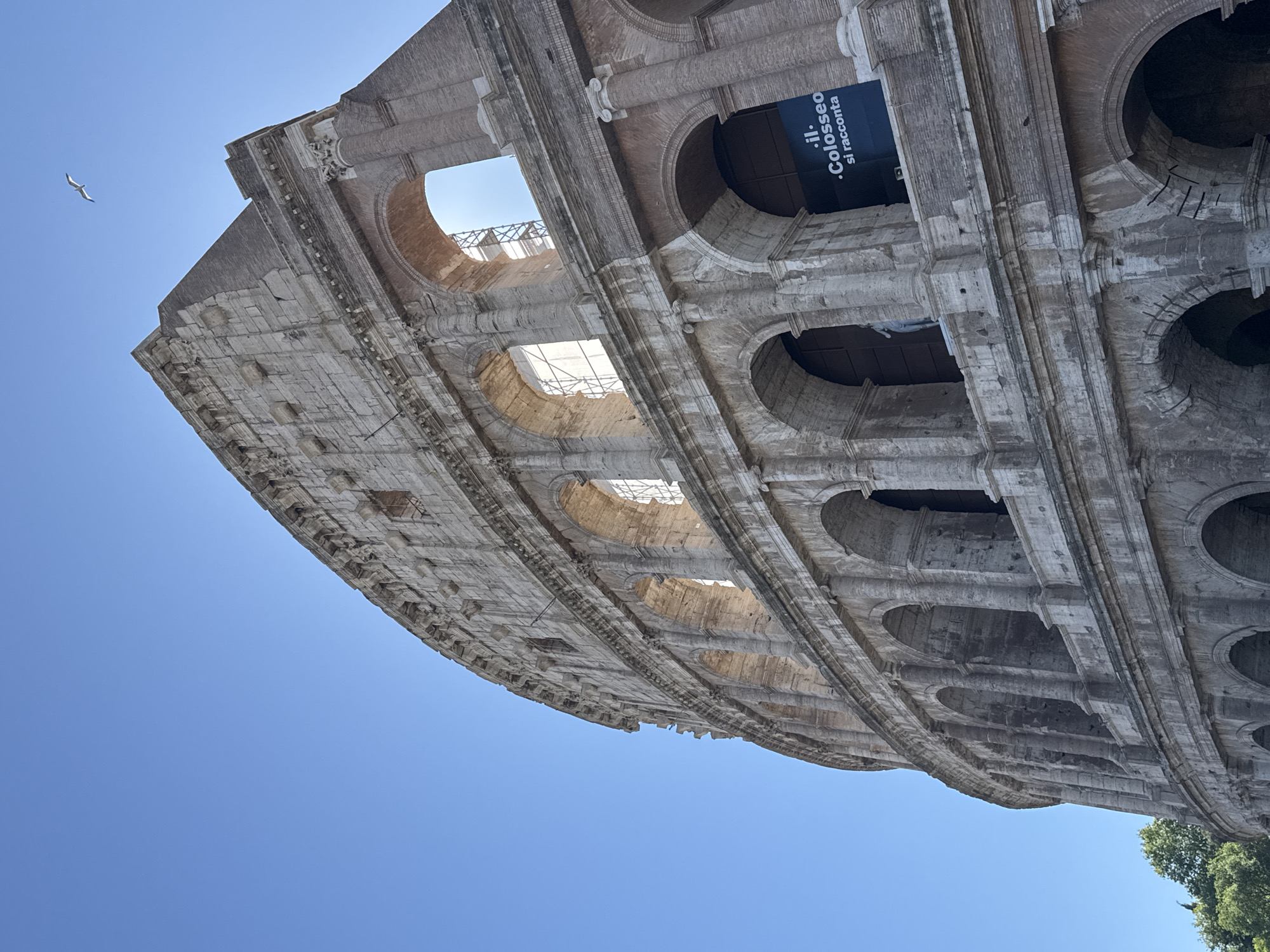 The Colosseum in Rome, Italy, is shown from a low angle. The weathered stone structure features multiple tiers of arches, some of which are open to the sky. A dark banner with white lettering in Italian hangs in one of the archways. A bird is flying in the clear, blue sky above the Colosseum. Vegetation is visible at the lower right corner of the image.