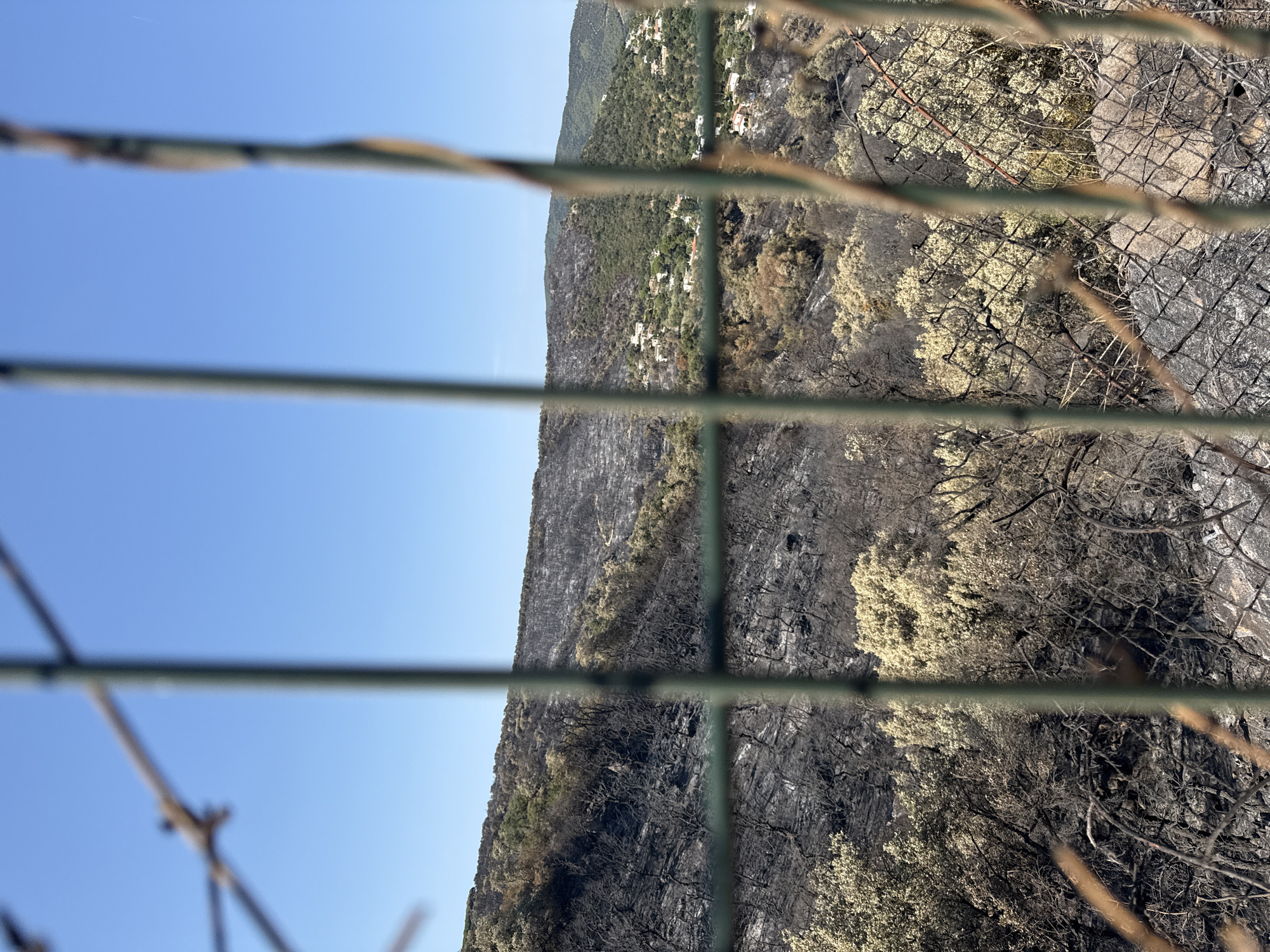 The image shows a view of a hillside in Mas Ambròs, Spain, that has been affected by a wildfire. The foreground is dominated by a blurred wire fence. Beyond the fence, the landscape is scarred by fire, with large areas of blackened earth and burnt trees. Patches of lighter vegetation, possibly recovering or unburnt shrubs, are scattered across the hillside. In the distance, several houses with red roofs are visible nestled among green hills, suggesting the proximity of a residential area to the burnt zone. The sky is clear and blue, indicating a sunny day. The scene conveys a sense of recent destruction and ongoing recovery in the natural environment.