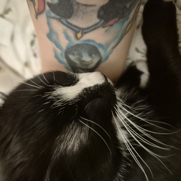 A black and white domestic cat is observed in a close-up, side profile, resting. The cat's fur is predominantly black, with distinct white markings on its muzzle, across its forehead, and extending down its chest. Multiple long, white whiskers protrude from its muzzle. Its eyes are closed, indicating a state of sleep or deep repose. The cat's head rests against a human arm, partially visible on the right side of the frame. This arm features a multi-colored tattoo, depicting a dark, circular object resembling a planet or moon, enveloped by light blue, cloud-like elements. Adjacent to this, a darker figure with an orange or yellow beak-like feature, possibly a bird or stylized character, is visible, alongside crimson or pink color accents. The background consists of blurred, light-colored fabric, consistent with bedding or a soft textile. The scene is located indoors in the city of Strasbourg, France.