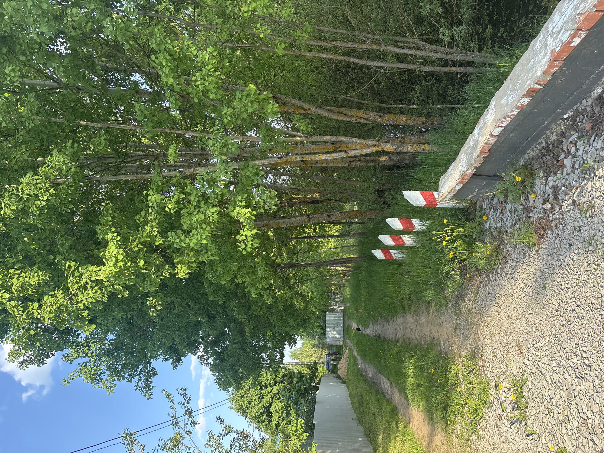 The image depicts a dirt road or path in a possibly rural or semi-rural area. The path is flanked by trees on both sides. Some of the trees are lined up in a row with red and white striped barriers in front. A concrete and brick wall is present on the right side. The path is made of gravel. In the distance, there is what appears to be a metal building or structure. Further down the path, there are signs of human activity such as possibly parked cars, but it is hard to distinguish them clearly. The sky is partially visible on the bottom left side, showing a bright blue color. The location is Мещёры, Russia.