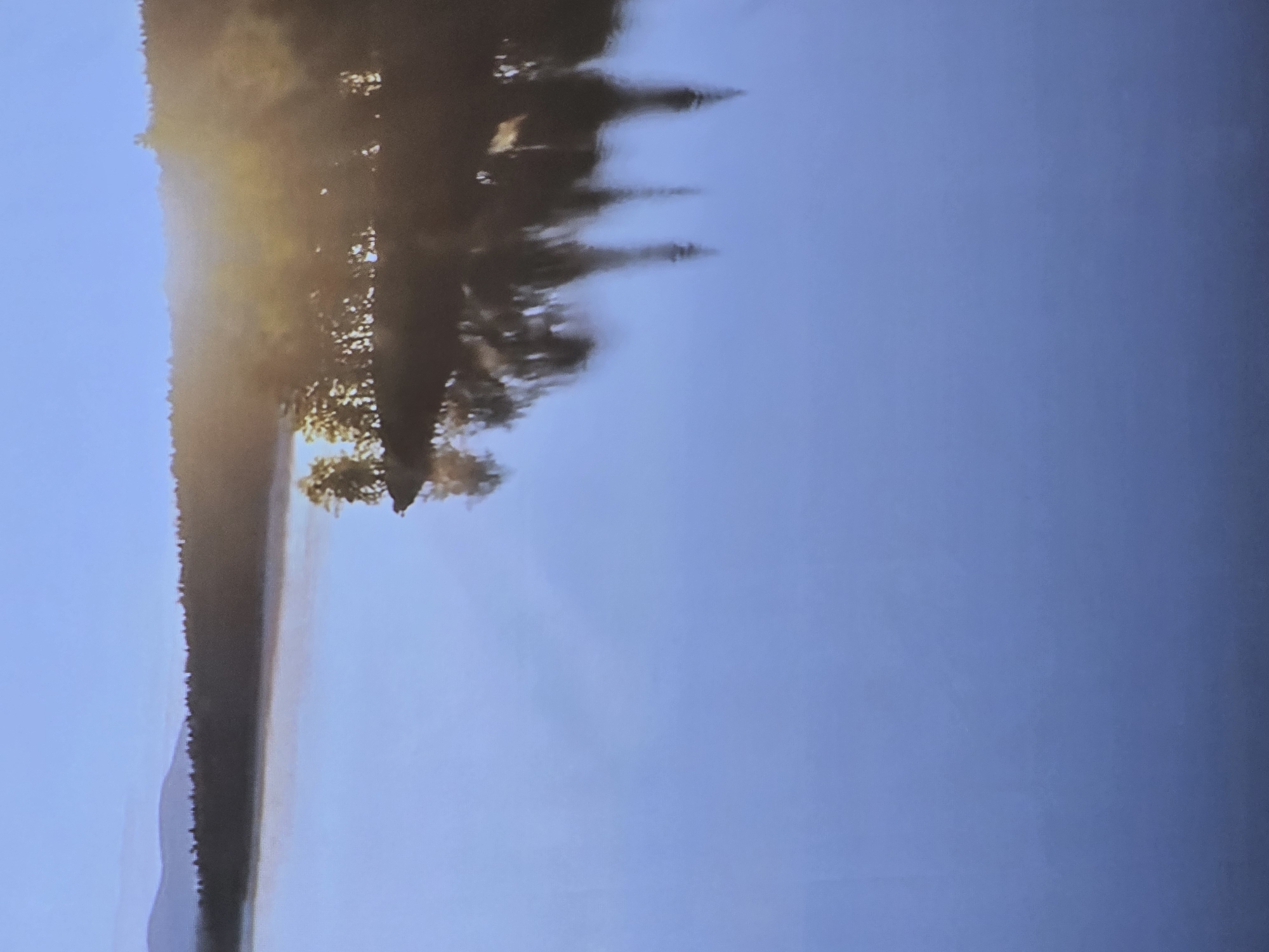 The image shows a serene lake at dawn or dusk, with a clear, pale blue sky and a hazy horizon. Dense evergreen trees line the distant shore, and a faint mist hovers over the water's surface. The trees on the right side of the frame are illuminated by a soft, warm light, likely the rising or setting sun, and their reflections are visible on the calm water. The overall impression is one of peaceful solitude and natural beauty. The image does not depict any specific location in Helsinki, Finland, nor does it contain any people, actions, or interactions. It is a landscape scene.