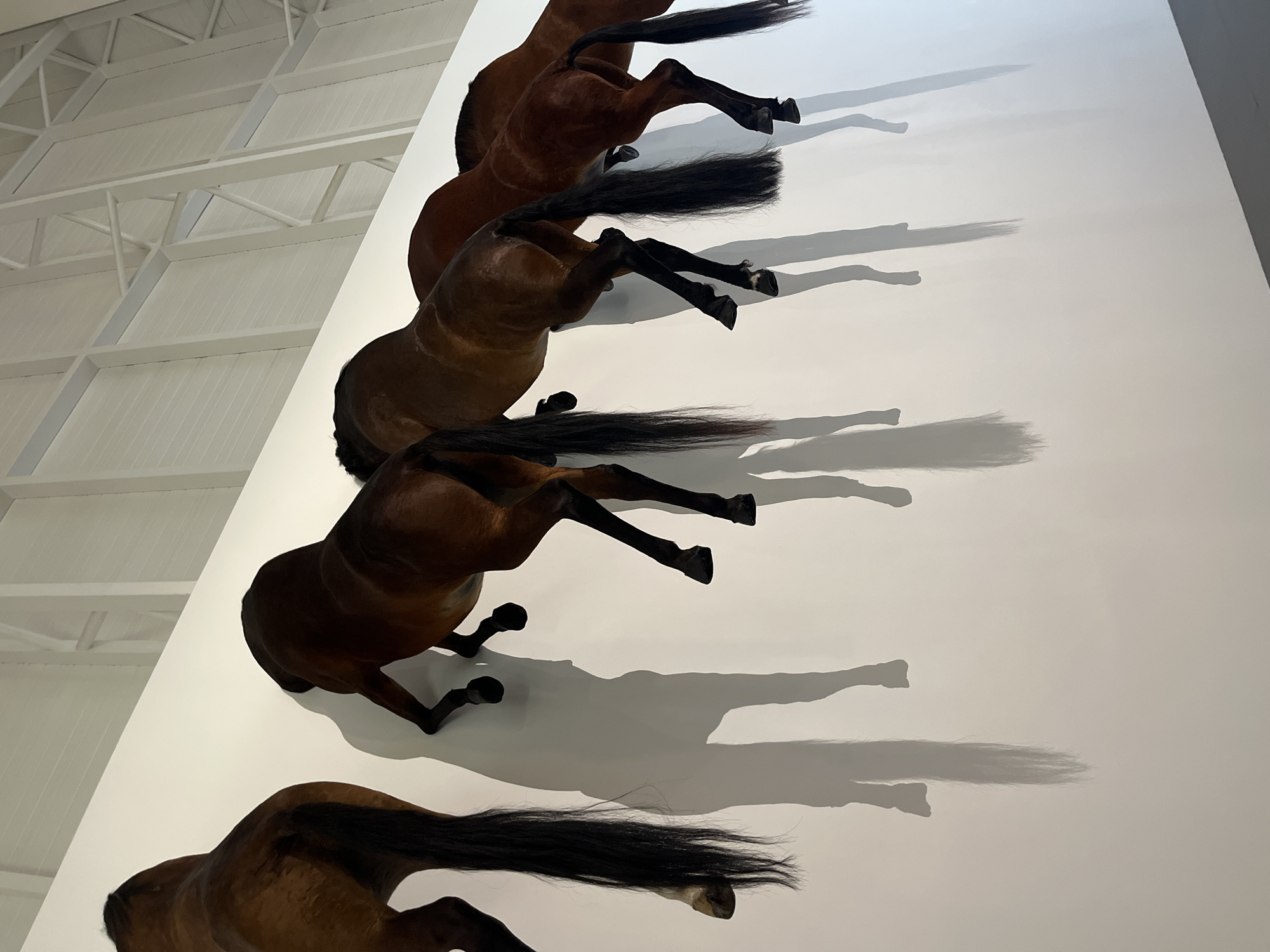 A photograph captures an unusual art installation featuring a series of dark brown horse sculptures, arranged vertically along a white wall. The horses appear to be in motion, their rear legs extended as if galloping or mid-stride. Sharp shadows cast by the sculptures on the wall enhance the illusion of movement. The installation is likely located within a contemporary gallery or museum space, as suggested by the high ceilings and modern architectural elements visible in the background. The location is Metz, France.