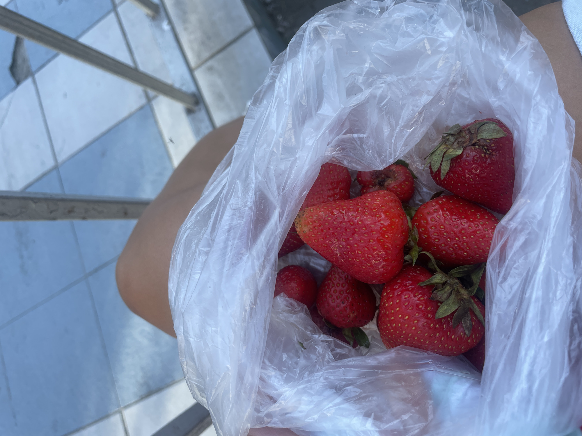 A first-person overhead view captures a person's bare upper thighs, with a glimpse of white fabric (possibly shorts) on the lower right, holding a transparent, crinkled plastic bag filled with fresh, ripe red strawberries. The strawberries are plump and vibrant, some retaining their green calyxes. The background features a tiled ground composed of light blue and light grey/white square tiles, arranged diagonally, with some tiles showing wear or chipping. Light-colored metal railings, consisting of vertical and horizontal bars, are visible in the background, suggesting an outdoor or semi-open environment such as a balcony, pedestrian walkway, or courtyard. The specific pattern of the worn tiles and simple metal railing is consistent with architecture and public spaces often found in coastal urban settings, including the city of Sochi, Russia.