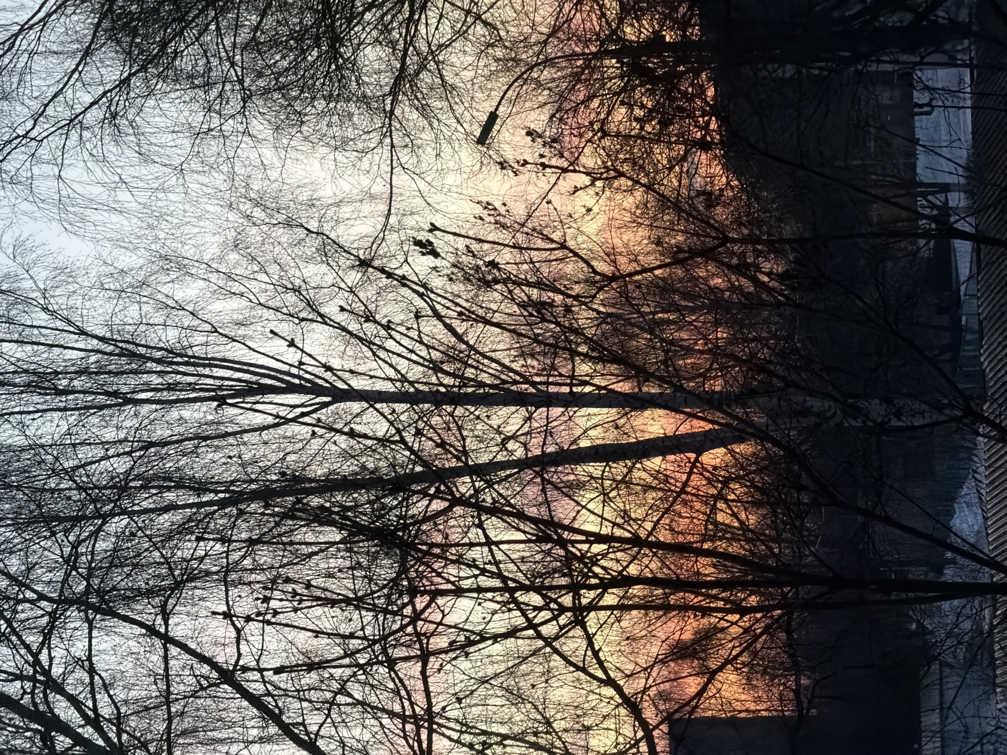 A low-angle shot of bare tree branches fills the frame. The upper portion of the sky is a mix of white and orange hues, possibly indicating sunrise or sunset. The lower portion of the frame is dominated by the dark silhouettes of the branches and, to the right, a building with vertical lines. Without additional information, it's impossible to confirm this is Izhevsk, Russia.