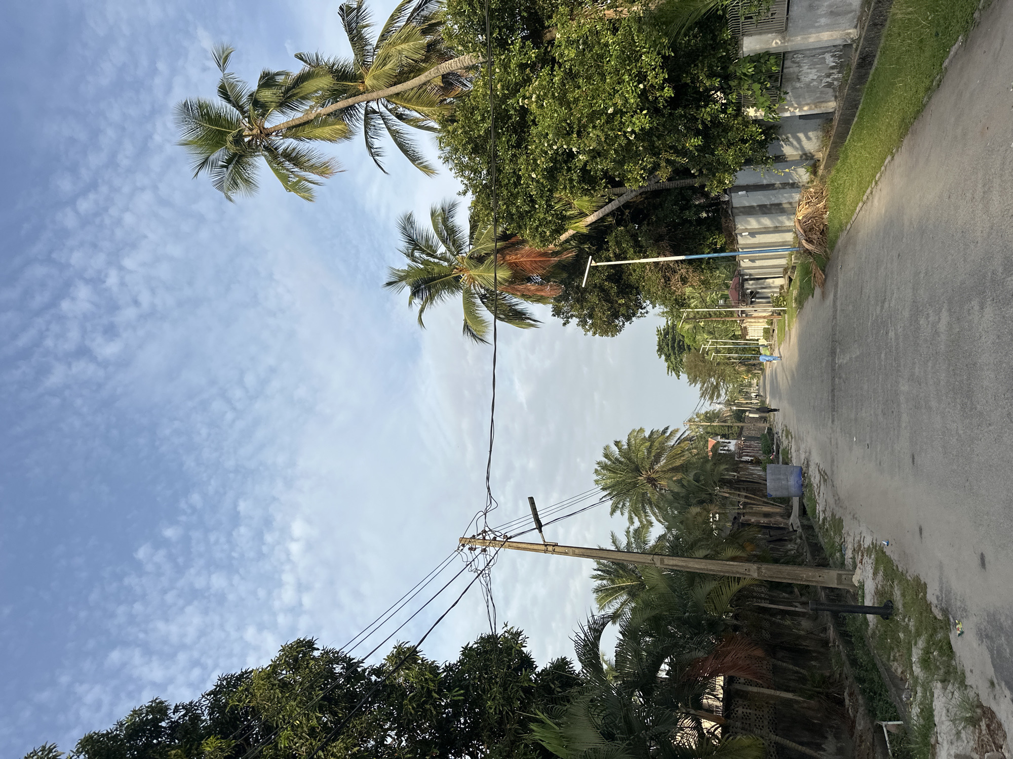An eye-level, medium shot looking down a street lined with palm trees in Lagos, Nigeria. The road is asphalt with vegetation growing in the cracks on the right side. There are telephone poles and lines on the left side of the road, and houses are visible on both sides of the road in the distance. The sky is cloudy, with blue sky visible in between the clouds. There are other green trees and plants on either side of the road.