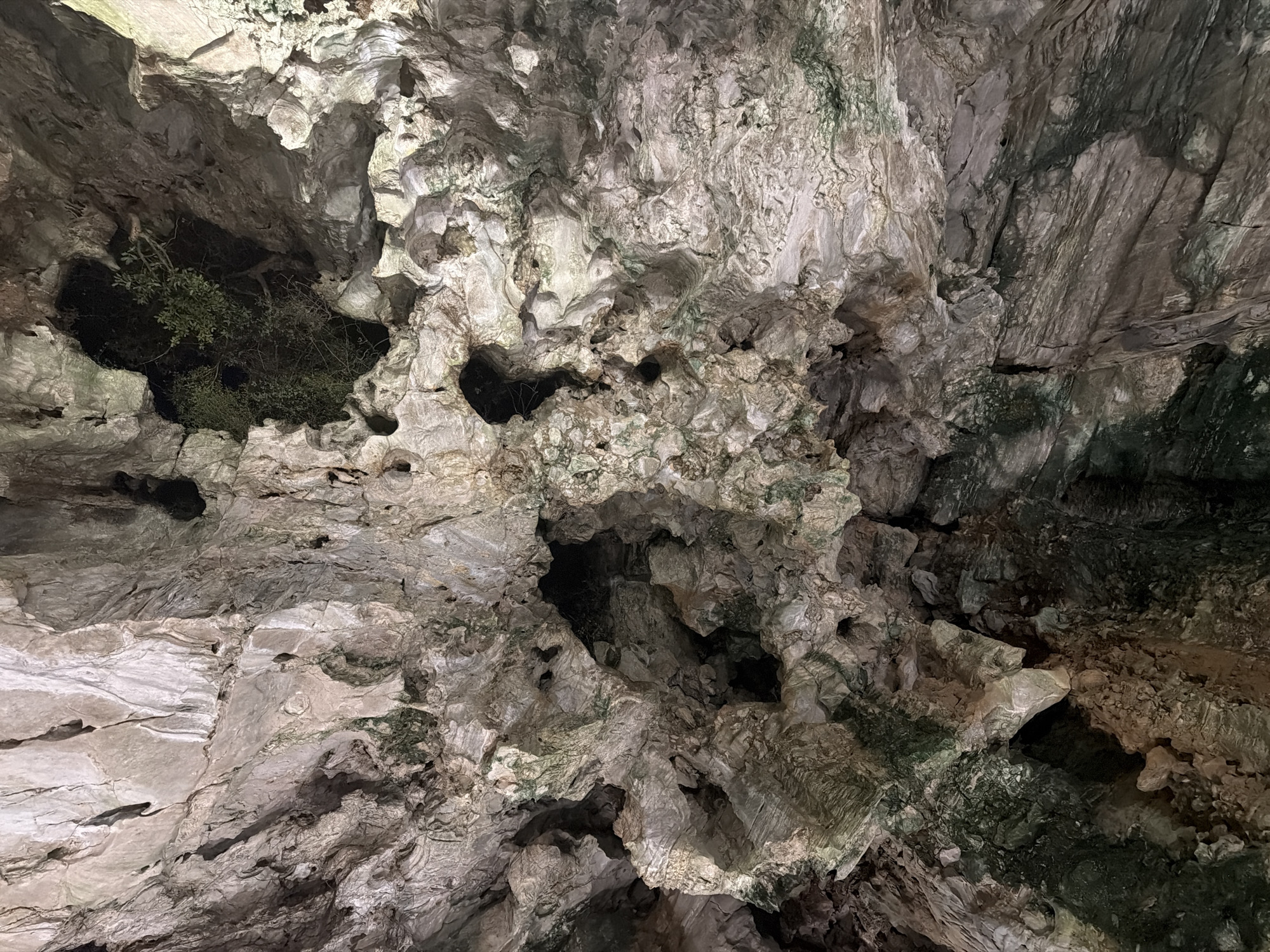 The image shows a view of the ceiling of a cave. The cave is composed of jagged, gray and tan rock formations with dark crevices and holes. In the upper left, a hole in the cave ceiling reveals green vegetation. The ceiling is illuminated, though the light source is not visible. The image could be in the Marble Mountains cave complex in Đà Nẵng, Vietnam. No people are visible.