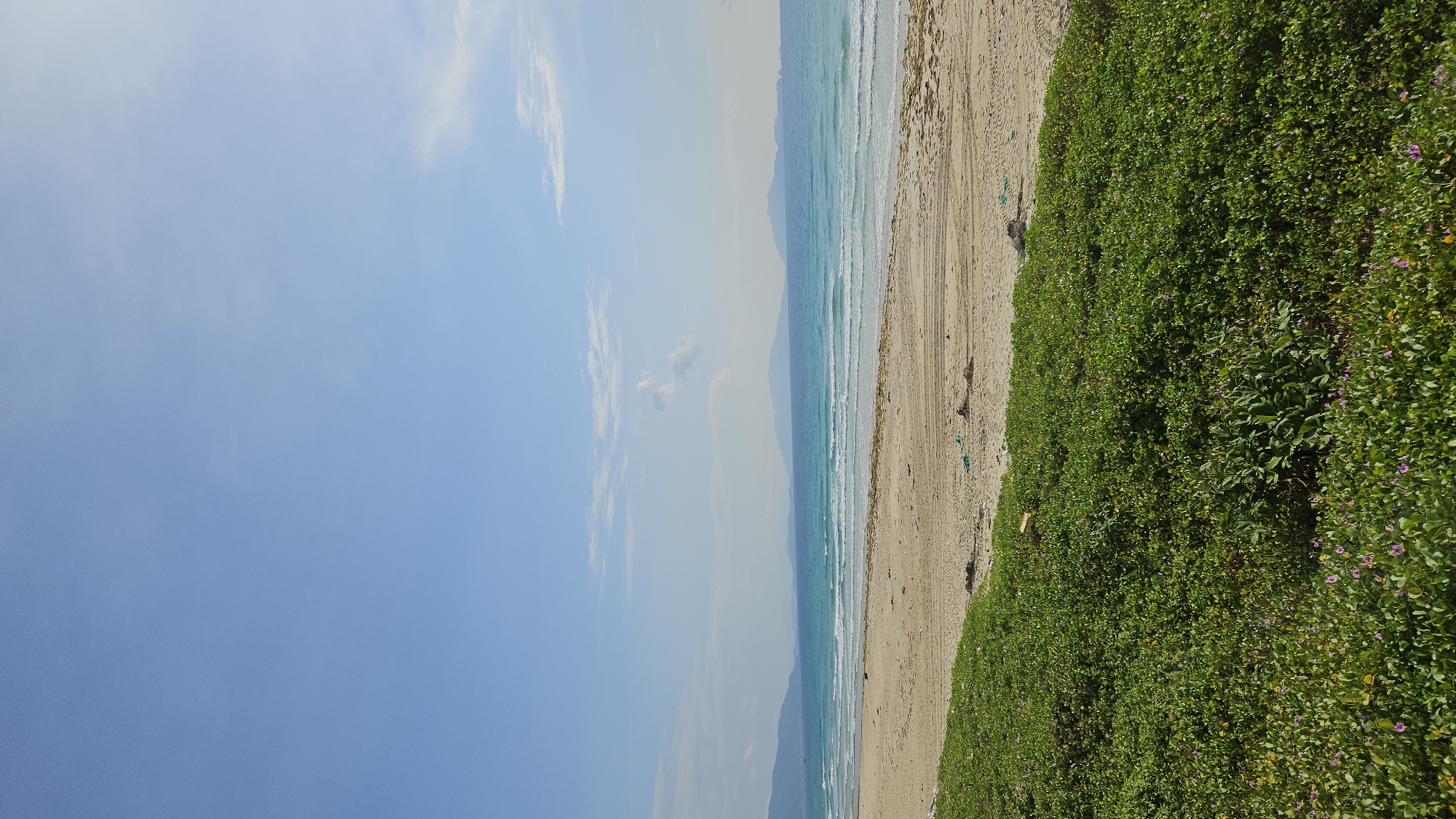 This image captures a coastal scene in Bac Cam Ranh Ward, Vietnam. The image is composed of a beach with sand, gentle waves, and dense, green vegetation covering the adjacent land. The sky is a clear blue, with scattered clouds, suggesting a sunny day. In the distance, mountain silhouettes are visible. The beach shows some tire tracks in the sand.