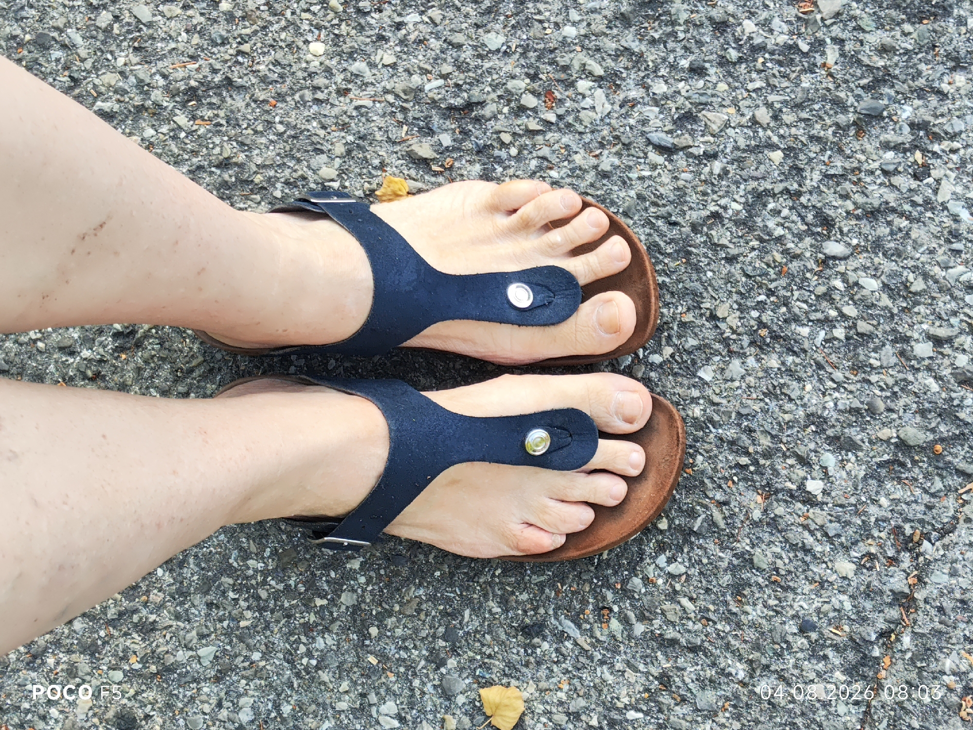 This image shows a top-down view of a person's feet wearing dark blue thong sandals, standing on a rough asphalt surface. The sandals have a brown cork footbed and a dark blue strap that goes between the toes and over the top of the foot, secured with a silver buckle. The person's feet are bare, and their toenails are visible. The asphalt ground is speckled with various shades of gray, white, and black stones, with a few scattered dry leaves. The lighting suggests it is daytime. The bottom left corner of the image displays "POCO F5" and the bottom right corner shows "04.08.2026 08:03", indicating the device and timestamp of the photo. There is no indication of the location being in Collecchio, Italy, nor is there any context to suggest this specific location.