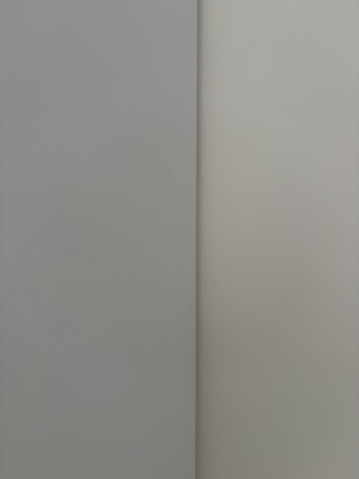 The image displays a plain, undecorated interior wall, divided vertically into two distinct sections by a subtle seam. The left section of the wall exhibits a matte, medium-gray tone. The right section is a lighter, almost off-white shade, with a subtle sheen. There are a few minor imperfections visible on the lighter section, appearing as small, dark indentations or specks. The image is an abstract representation of a wall, offering no contextual information about its location, surroundings, or any inhabitants. Therefore, its presence in Nha Trang, Vietnam, or any other city, cannot be determined from the visual data provided.