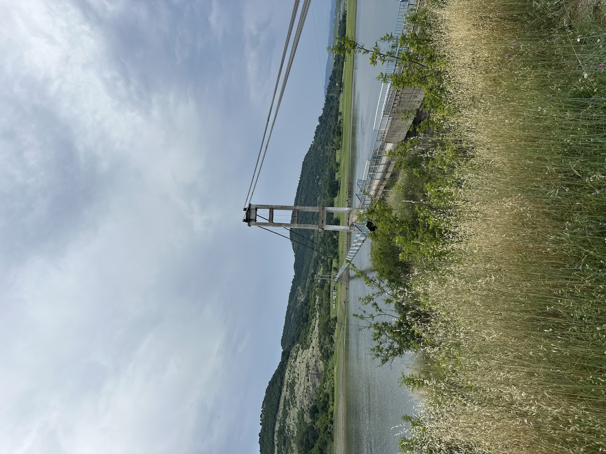 An outdoor, wide-angle shot captures the Lisitsite Bridge spanning the Kardzhali Reservoir in Lisitsite, Bulgaria, under an overcast sky. The foreground is dominated by a dense field of tall, dry, light-brown and green grasses that occupy the lower third of the image. Beyond the grasses, a calm, grey-blue body of water extends across the mid-ground. A concrete suspension bridge with two visible pylons and thick suspension cables traverses the water from the right mid-ground to the left. The bridge deck features blue and white railings. The background consists of rolling hills covered in a mix of dense green trees and lighter patches of vegetation. On the far bank, near the water, are some small, distant white structures. The sky above is entirely overcast with diffuse, light grey clouds. No discernible human or animal figures are present.