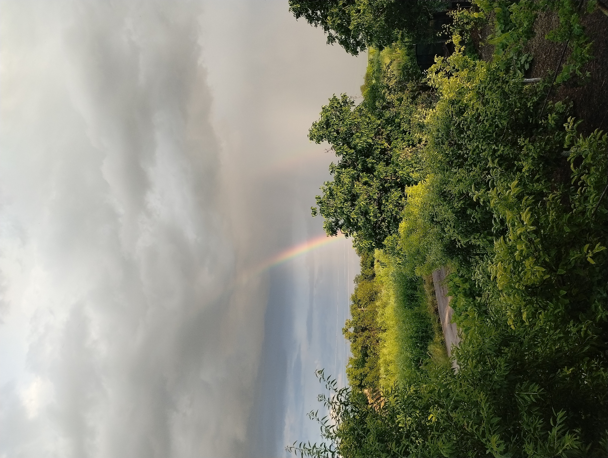 The image depicts a landscape under an overcast sky in Roza, Bulgaria, featuring a rainbow. Lush greenery lines the right side of the frame, including trees and shrubs. A narrow path or road runs through the vegetation. The sky is filled with dark, grey clouds, with a section of clearer sky where the rainbow appears. The rainbow is a distinct arc of color stretching across the horizon.
