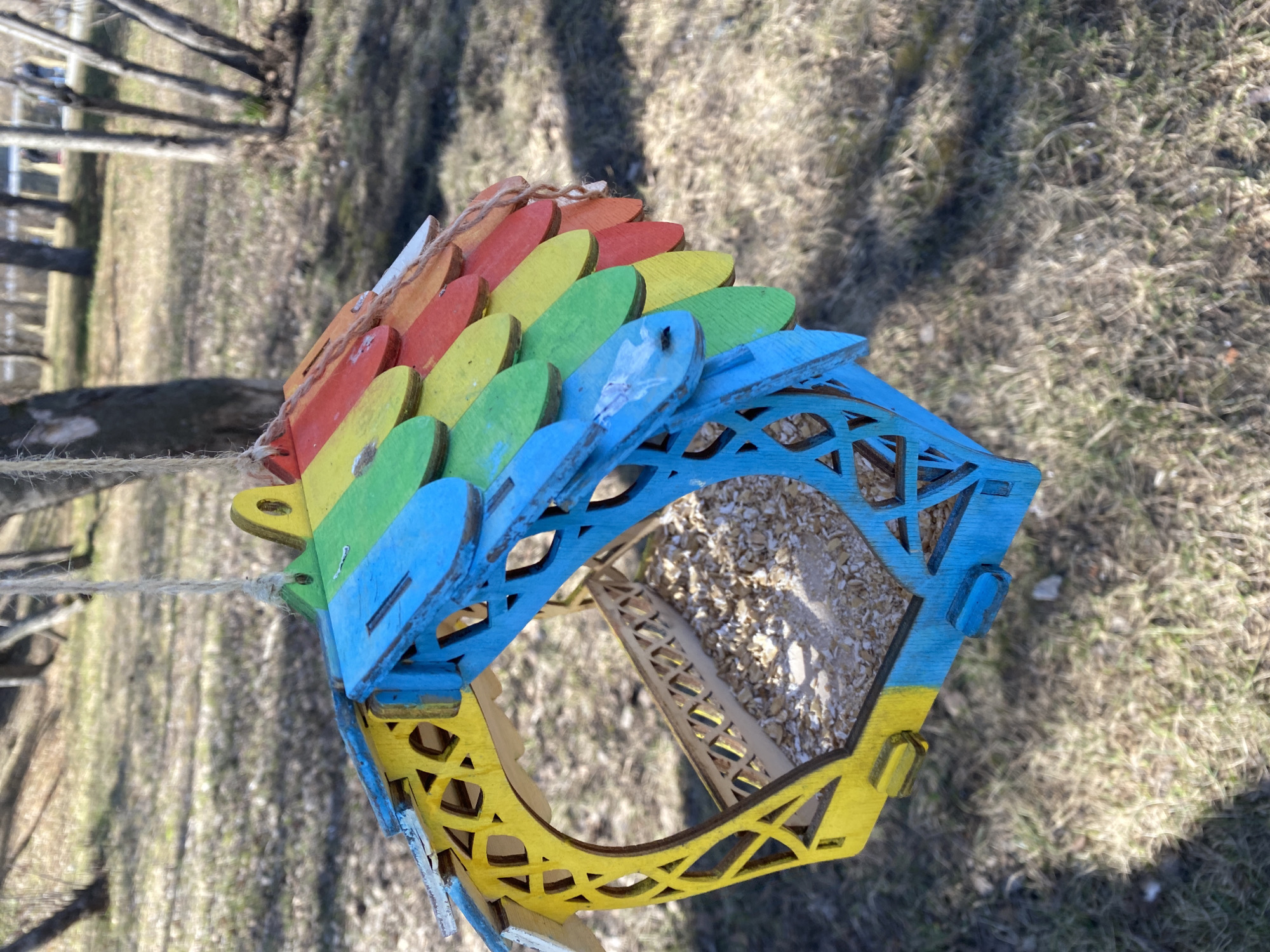 The image shows a colorful bird feeder, painted with rainbow colors on top and blue and yellow on the bottom structure, hanging from a tree branch. The feeder is filled with birdseed. The background is blurry and consists of dry grass and some trees. The location cannot be determined as Yekaterinburg, Russia with the information contained in this image.