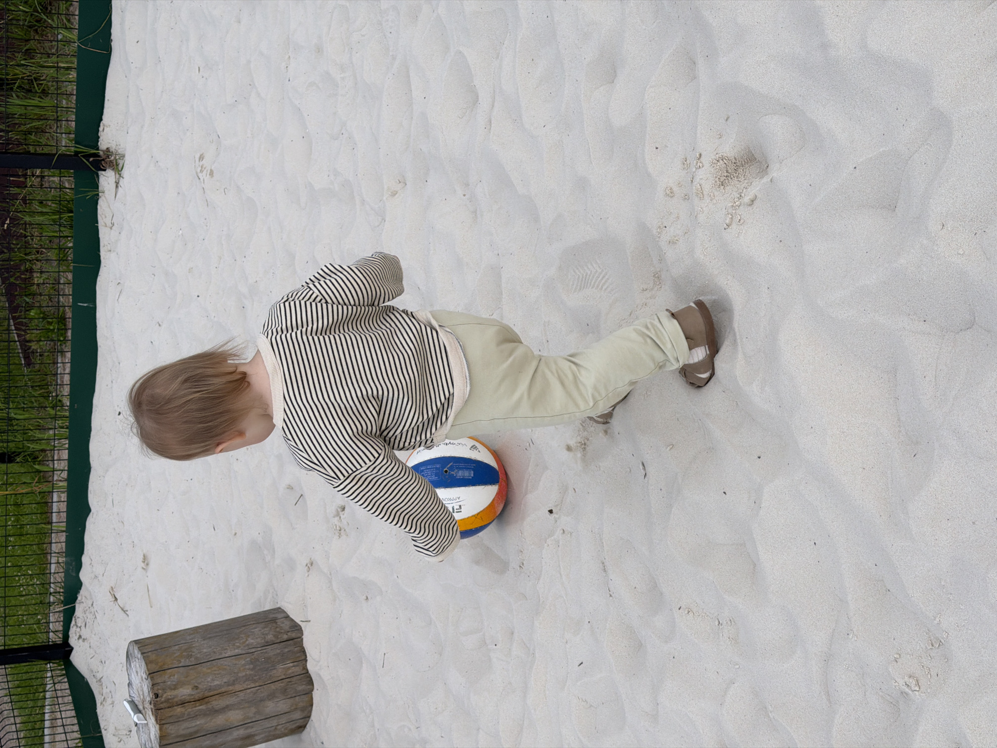 A child with blonde hair is standing in a sandbox with a volleyball. The child is wearing a striped long-sleeved shirt and light-colored pants, along with tan sandals. The volleyball has blue, white, and orange panels. To the left of the sandbox, there is a metal fence with green backing, and beyond that, green grass is visible. A section of a wooden log is also present in the sandbox. The sand is light-colored and shows textures from footprints. The image is taken from a high angle, looking down on the scene. The lighting suggests it is daytime.