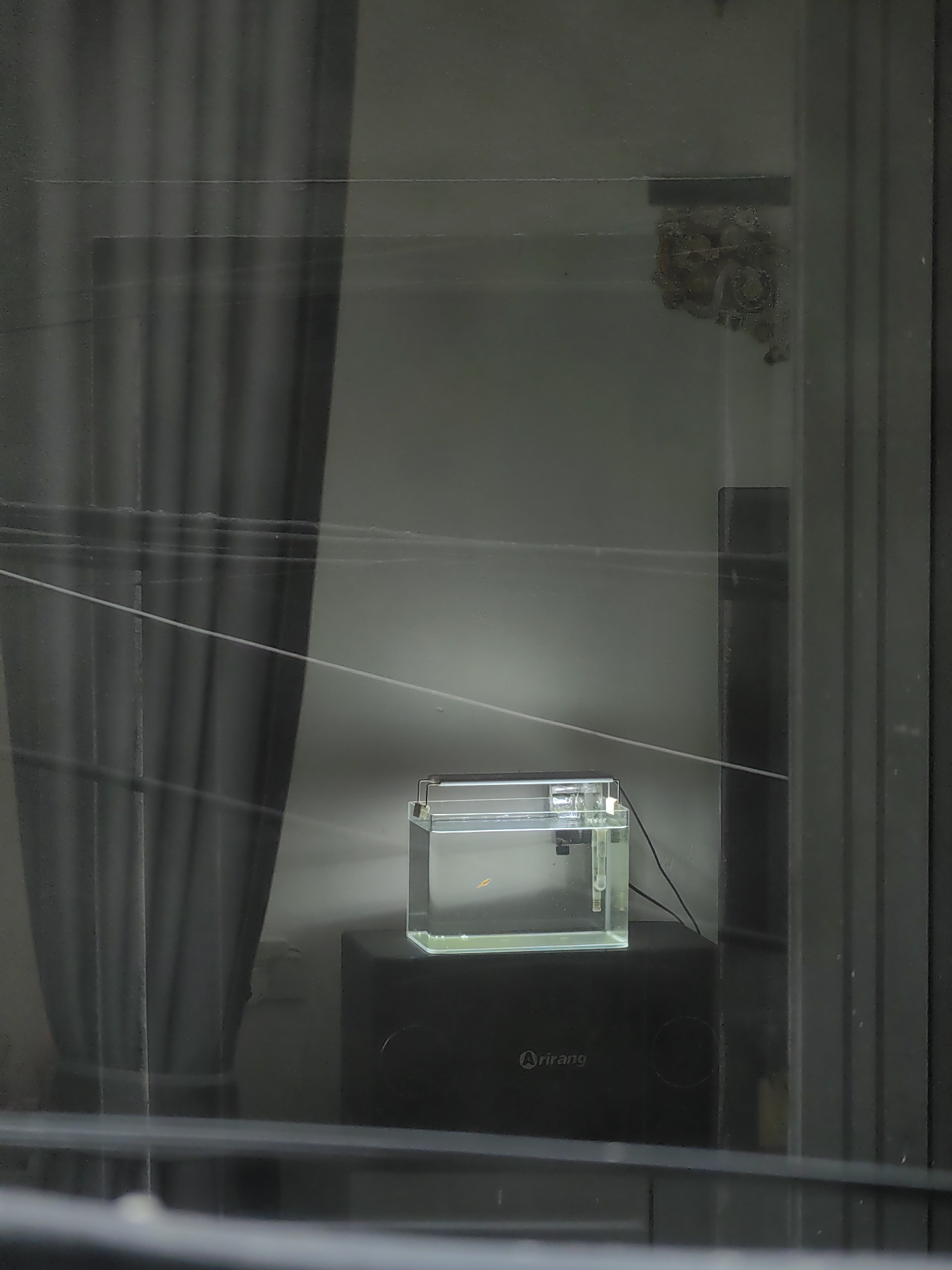 A small, clear glass aquarium sits on top of a black "Arirang" branded speaker. The aquarium appears to contain a single, small orange fish and is equipped with a filter and a light fixture. The aquarium setup is positioned indoors against a light gray wall, partially obscured by a gray curtain on the left. The scene is viewed through a window, with reflections and smudges visible on the glass surface. The setting is inside a building, located in Bai Chay Ward, Vietnam. In the upper right corner, there is a decorative, possibly organic, structure mounted on the wall.
