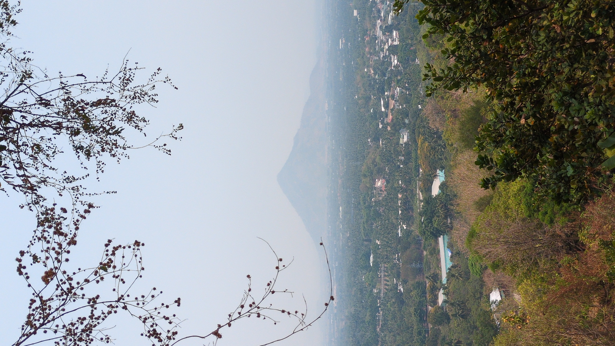 A high-angle view, potentially from a hilltop in or near Lâm Sơn, Vietnam, shows a landscape dominated by dense vegetation and buildings. A large hill stands in the distance, partially obscured by haze. In the foreground, the silhouettes of tree branches are seen on both the left and right sides. The vegetation transitions from sparse trees to dense green foliage closer to the viewpoint on the right. Buildings and houses can be seen scattered among the trees. A swimming pool is visible among the landscape. The sky is a pale blue.