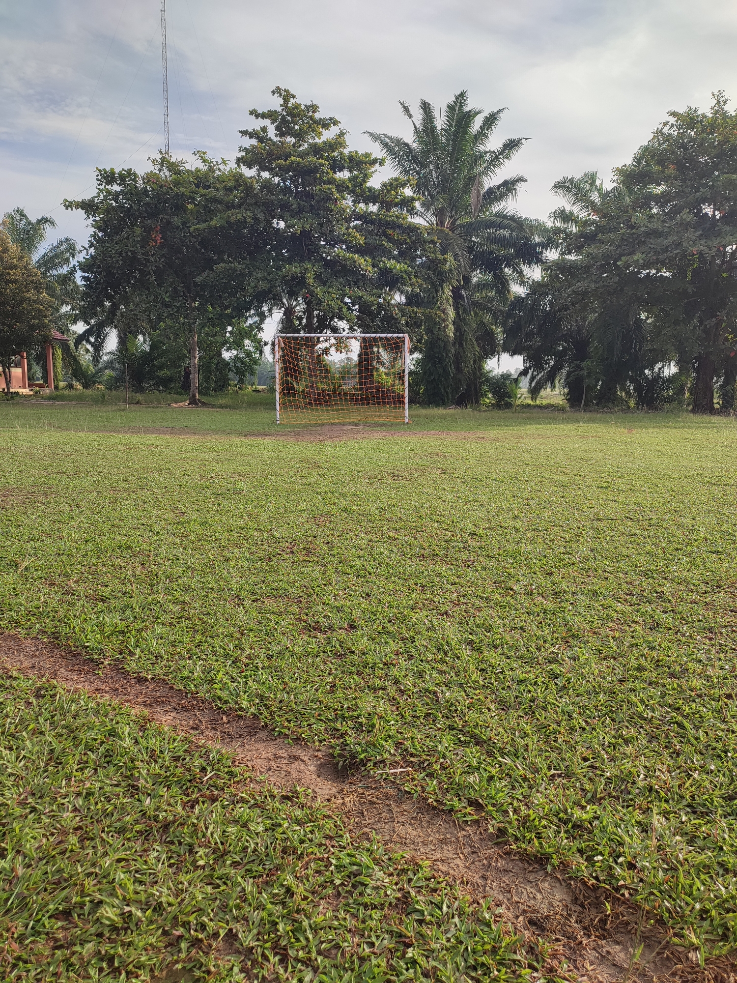 The image depicts an outdoor scene with a soccer goal on a grassy field. In the background, there are several trees, including palm trees, and a tall radio tower. To the left, a building with a reddish-brown roof is partially visible. The sky is overcast with clouds. The foreground shows the texture of the grass, with a worn patch of dirt in the lower left corner. The scene appears to be located in a rural or semi-rural area, possibly part of a school or community sports facility.