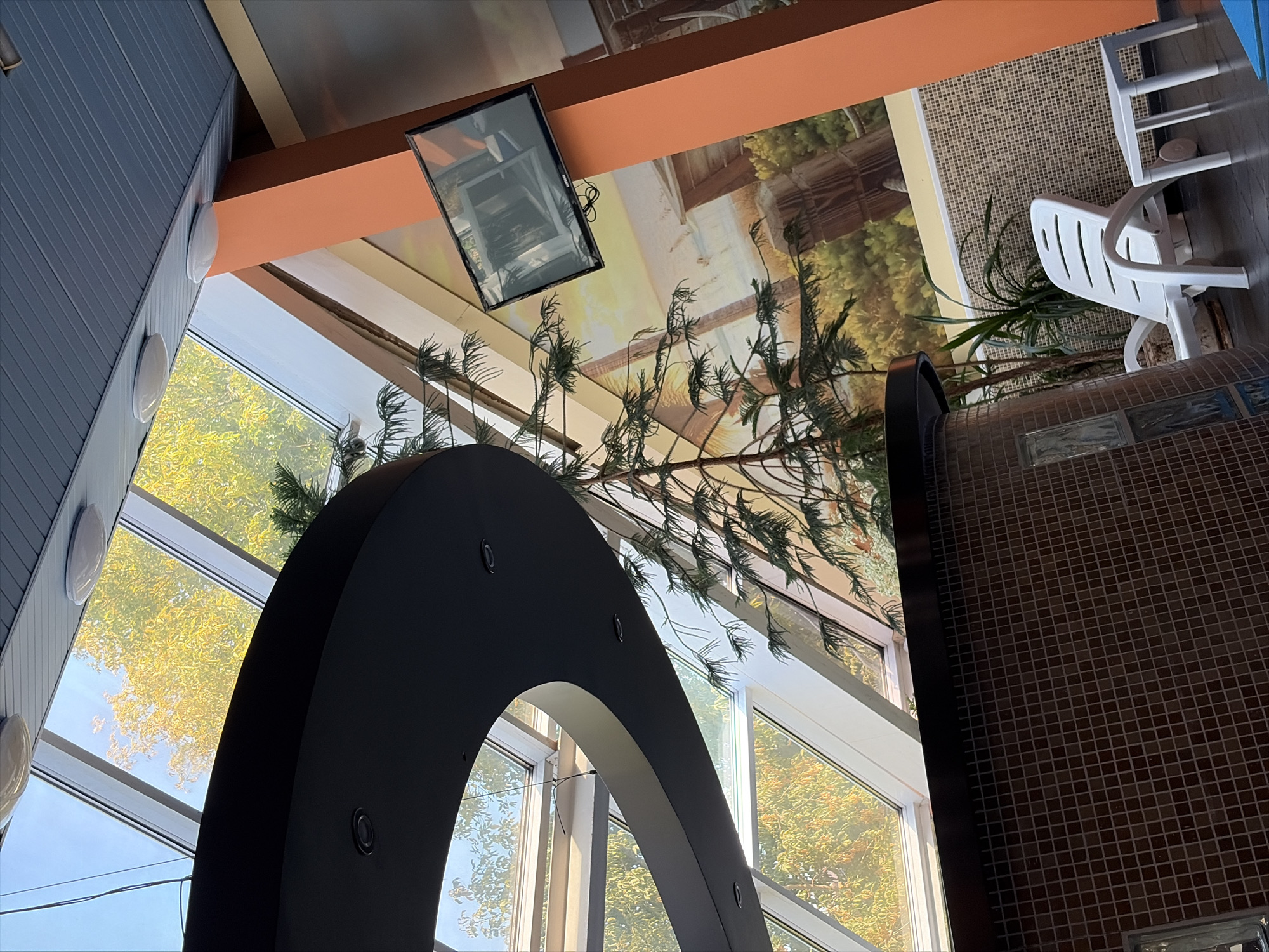 An indoor scene, possibly a spa or lounge area, features a large slanted skylight revealing trees with yellow foliage against a blue sky. A curved, dark-colored soffit extends into the frame from the left, with recessed lighting. A tall, thin coniferous tree stands centrally, its branches reaching towards the skylight. To the right, an orange pillar supports a flat-screen television mounted on a wall adorned with a mural depicting a beach or coastal landscape. Below the TV, a white plastic lounge chair and a small white table are visible. The floor appears to be dark. A tiled structure, possibly a counter or seating area, is in the foreground on the left, constructed with small, dark brown tiles. The overall impression is of a modern, bright space with elements of nature integrated indoors. The specific location within Moscow, Russia, cannot be determined from the image alone.