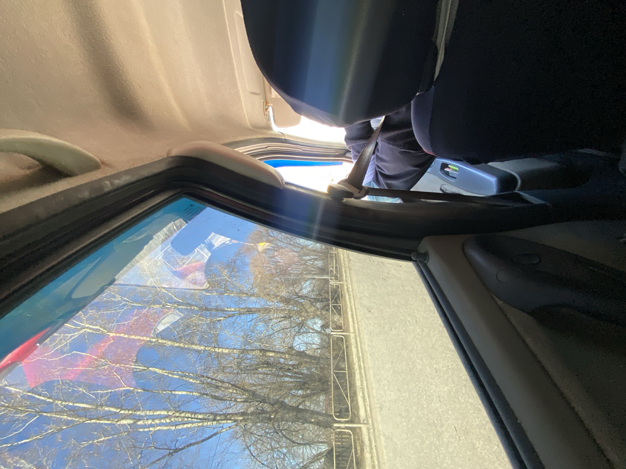 The image shows an interior view from within a car, angled upwards and slightly towards the front passenger side. The visible parts of the car interior include the headliner, side pillars, seat, and door. A person wearing dark clothing and a seatbelt can be partially seen. The car window reflects a scene with bare trees against a bright blue sky and a concrete barrier or wall running parallel to the road.
While the image provides some contextual information, I cannot determine if this photo was taken in the city of Chaikovsky, Russia. There is no verifiable evidence in the image to link it to that specific location.