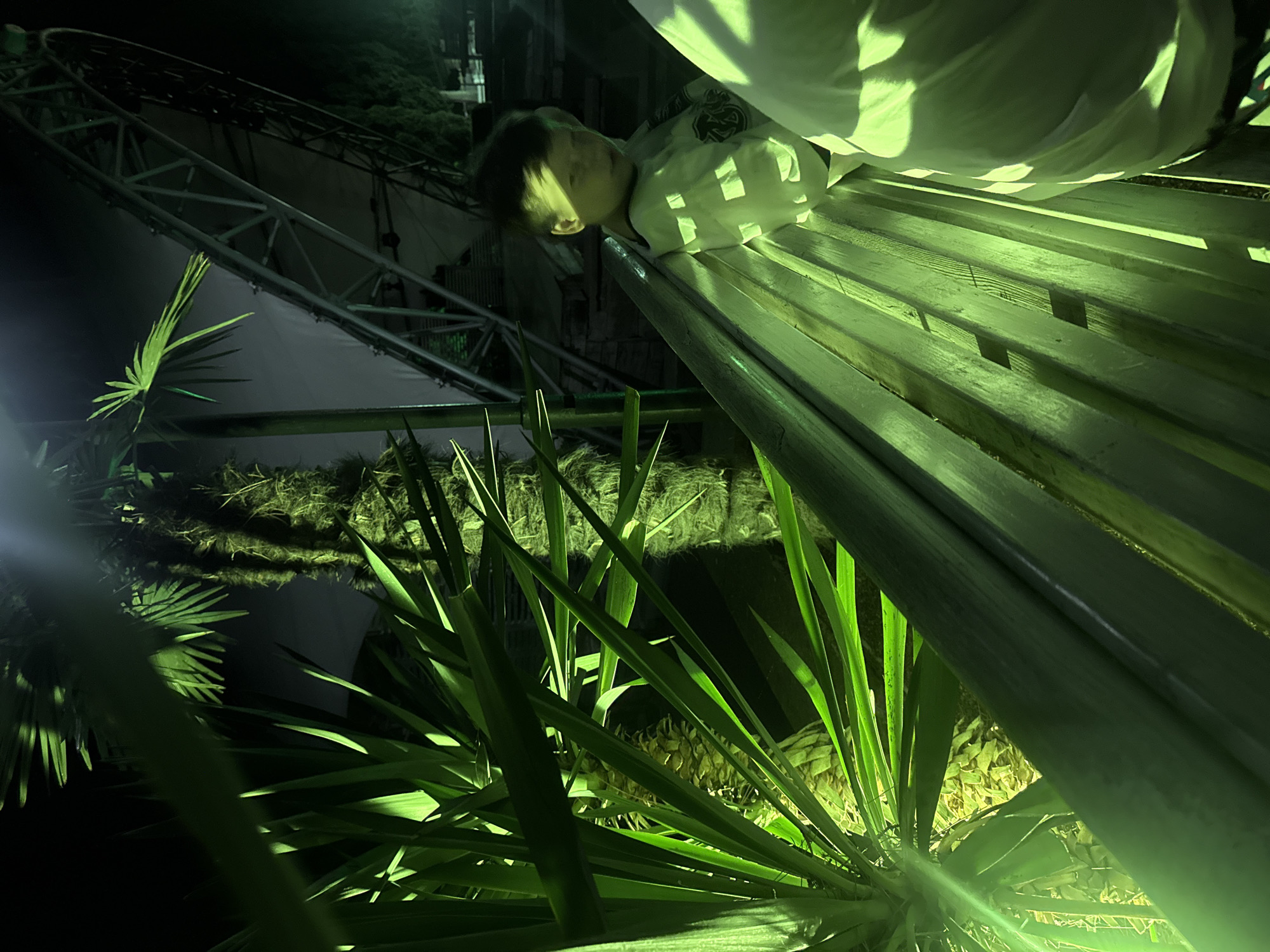 The image depicts an outdoor scene at night, with a prominent green illumination casting long shadows. In the foreground, lush green foliage, possibly from a palm or yucca plant, dominates the left side of the frame. Behind the foliage, a textured tree trunk is visible. To the right, a young boy with dark hair is seated on a wooden bench. He is wearing a light-colored shirt with a dark emblem. Another person, mostly out of frame, is also on the bench. In the background, a large metal structure, resembling part of an amusement park ride like a roller coaster or Ferris wheel, is visible against the dark night sky. The overall environment suggests an outdoor recreational area or a park. The location is identified as Yalta, Ukraine.
