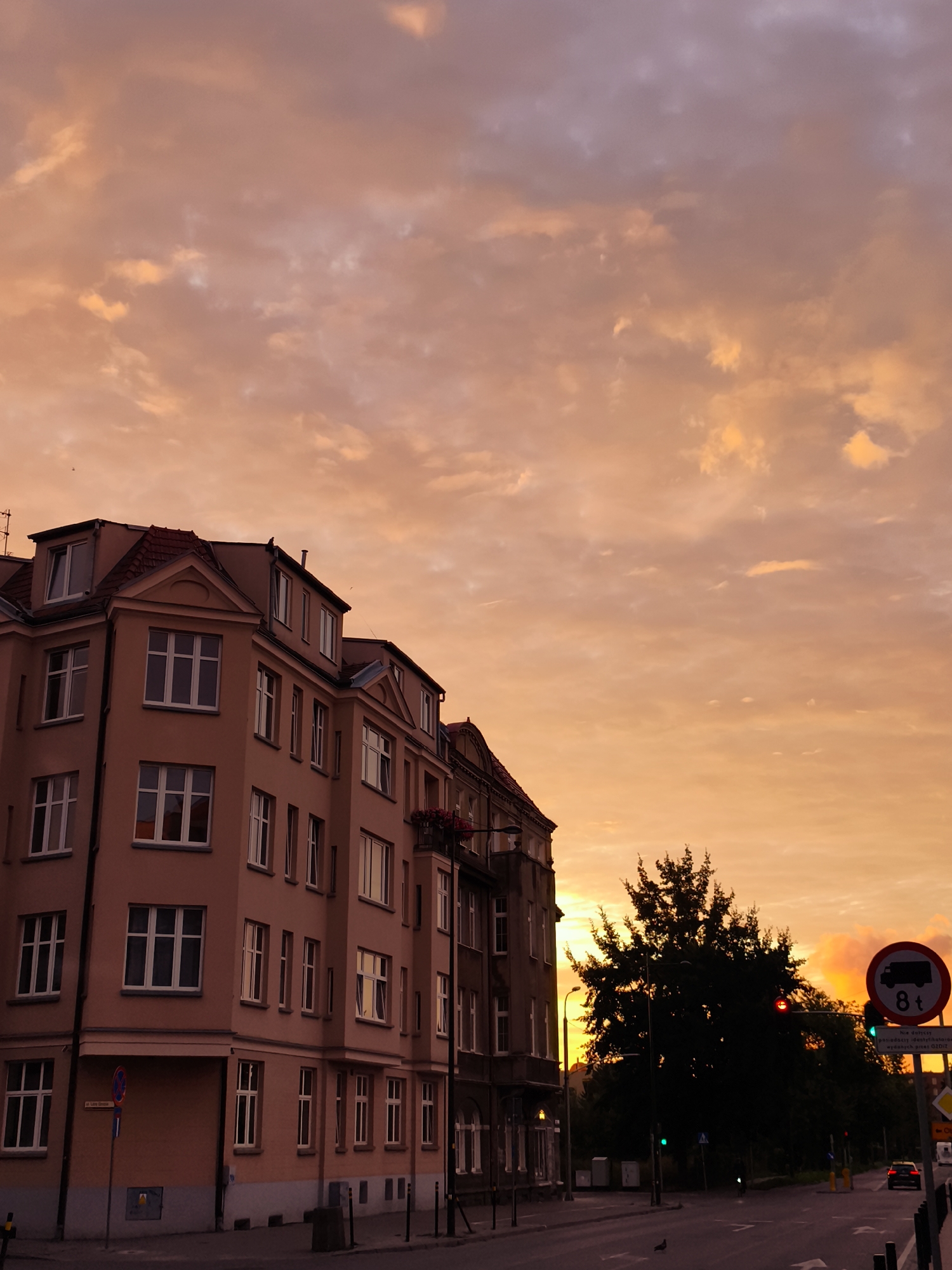 The image shows a street scene in the city of Gdańsk, Poland, during sunset. A multi-story building with a light brown facade and white-framed windows dominates the left side of the frame. The building has several sections, with a prominent mansard roof and dormer windows on the top floor. In the foreground, a street is visible with lane markings and streetlights. On the right side of the street, a large tree with dark foliage stands silhouetted against the vibrant orange and pink sky. Several traffic signs are also present, including a circular sign indicating a weight limit of 8 tons for vehicles, and traffic lights displaying green signals. The sky is filled with dramatic, cloudy formations, illuminated by the setting sun, casting a warm glow over the entire scene. A few distant cars are visible on the road.