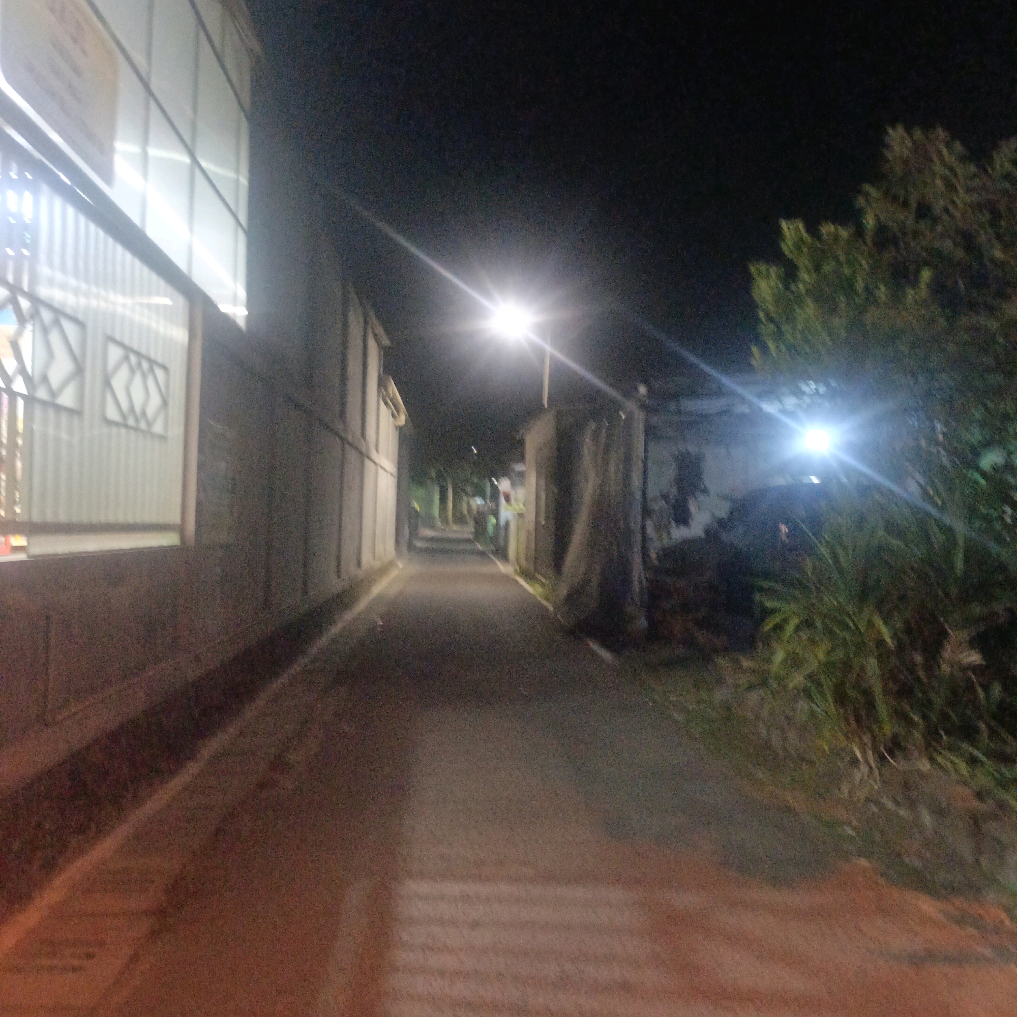 A nighttime, slightly blurred, first-person perspective view of a narrow paved alleyway in Salatiga, Indonesia. On the left, a corrugated metal structure with large, translucent windows and decorative geometric patterns is visible. To the right of the alley, a dense clump of green vegetation is present. The alley is illuminated by a bright overhead streetlamp in the distance. The ground is paved with asphalt and has faint markings. The overall impression is of a residential or service alley in a dimly lit urban environment.