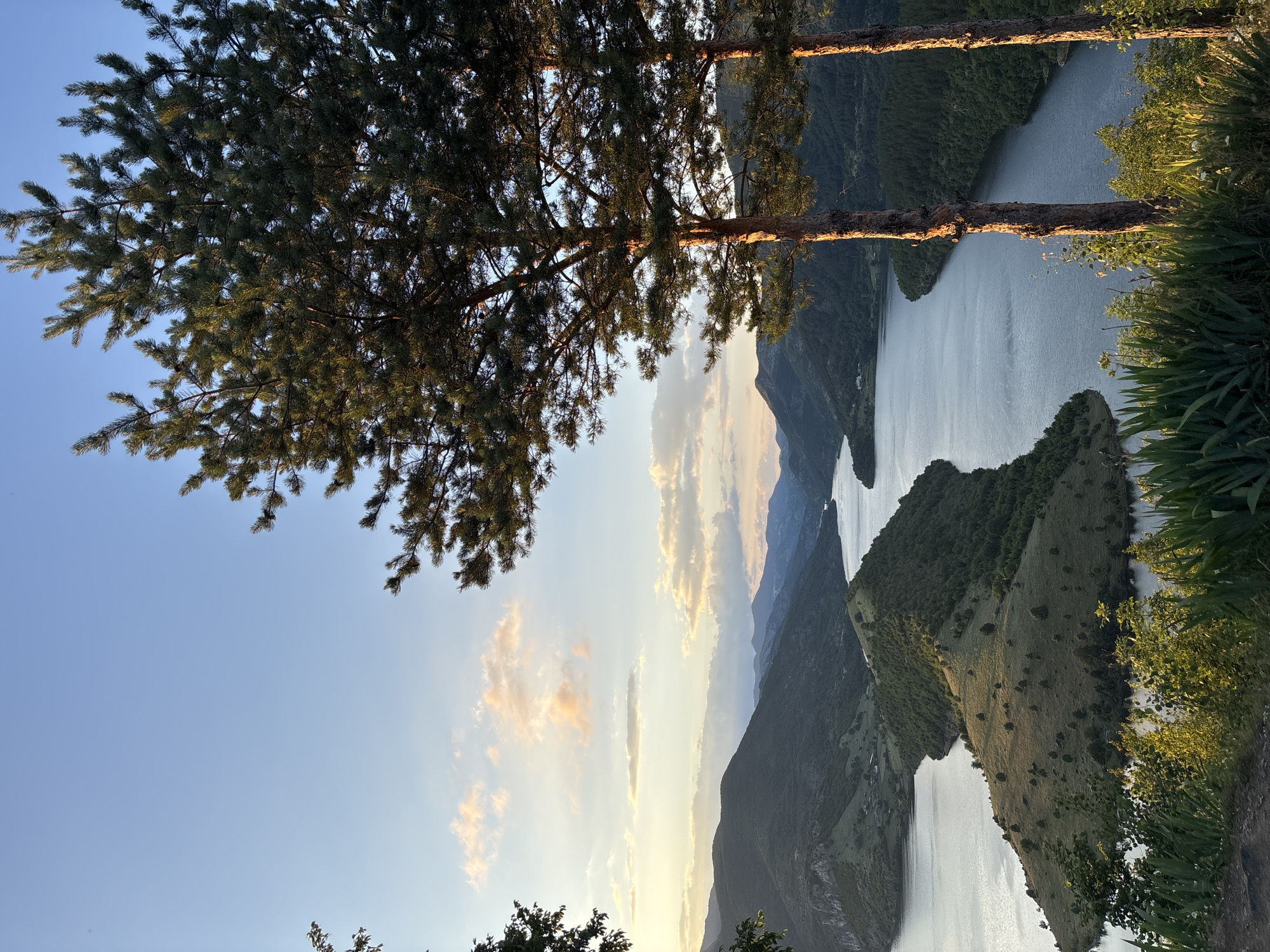 The image depicts a scenic landscape view from a high vantage point overlooking a winding river or lake and surrounding mountains. Two pine trees, with their branches silhouetted against the sky, are in the foreground. The sky is clear with a few wispy clouds tinged with the warm colors of either sunrise or sunset. The water is calm and reflects the soft light. Lush green hills and forested mountains recede into the distance. A prominent peninsular-like landmass covered in greenery juts into the water in the middle ground. The location is identified as Ribartsi, Bulgaria.