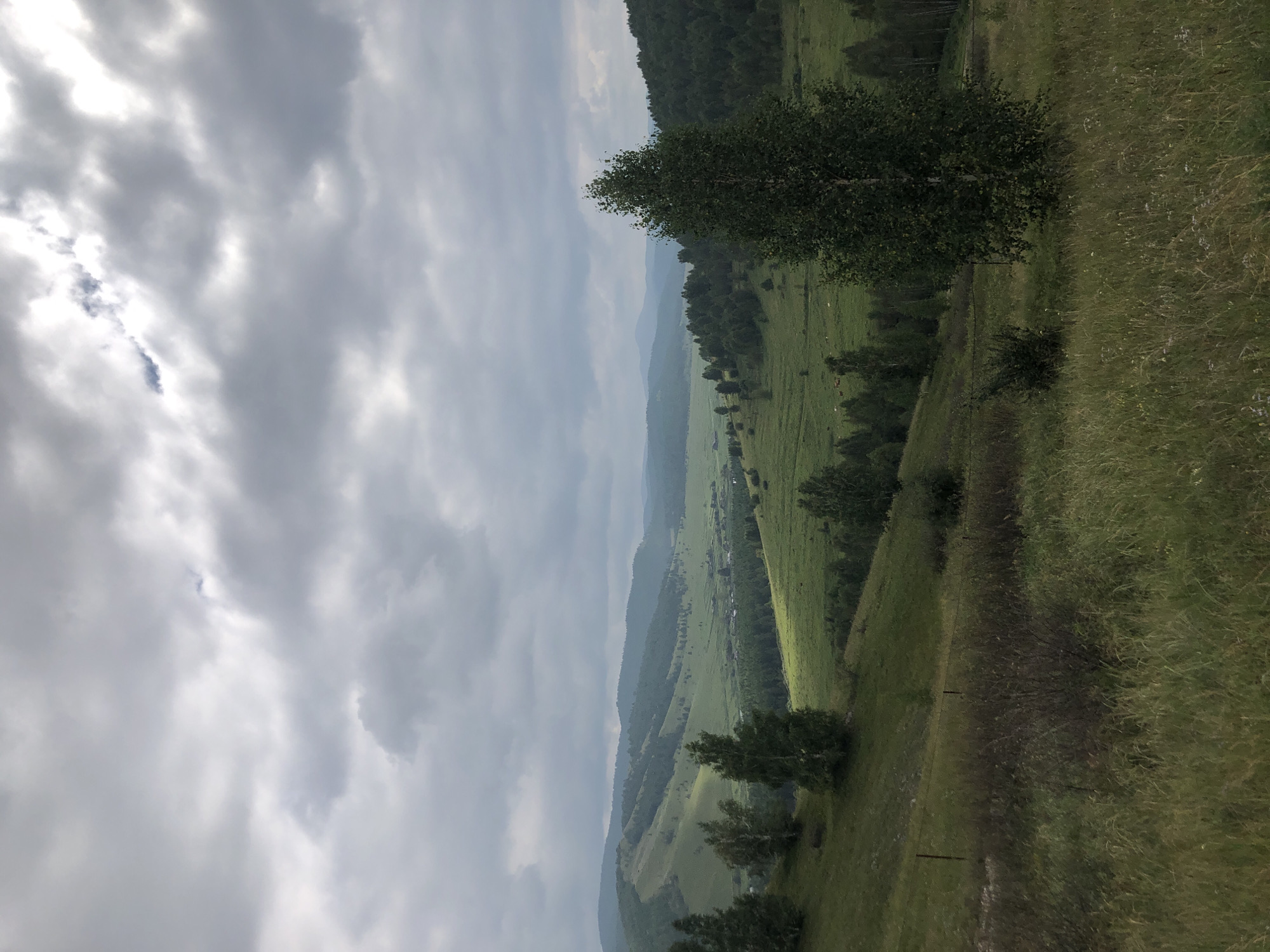 The image depicts a panoramic view of a lush green valley under a cloudy sky, likely taken in or around the village of Туим, Russia. In the foreground, tall grass and some bushes occupy the lower part of the frame. A gently sloping hill with scattered trees, primarily birches, rises from the foreground. In the midground, the valley unfolds with rolling green hills dotted with more trees and patches of darker forest. A small settlement, characterized by buildings and structures, is visible in the distance, nestled within the valley. The background is dominated by layered, hazy mountains that recede into the distance. The sky is overcast with thick, grey clouds, suggesting a diffused light or possibly approaching rain. No people or animals are clearly discernible in the image. The overall impression is of a tranquil, rural landscape in a mountainous region.