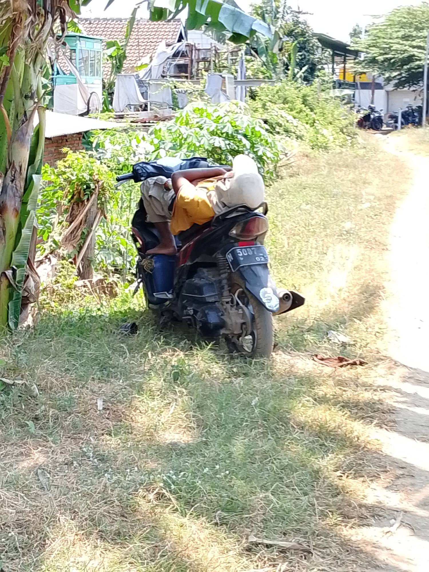 In an outdoor scene in Pasuruan, Indonesia, a person wearing a yellow shirt and tan shorts reclines on a parked motorcycle. The motorcycle, a dark color, is positioned on the side of a dirt road that curves to the right. The person's head rests on the seat, and their legs are bent. The surrounding environment is lush with vegetation, including banana trees on the left and various green bushes and trees in the background. In the distance, some buildings are visible, including a house with a red tiled roof and structures covered with tarpaulins. Several other motorcycles are parked in the background to the right. The ground is covered in dry grass and dirt.