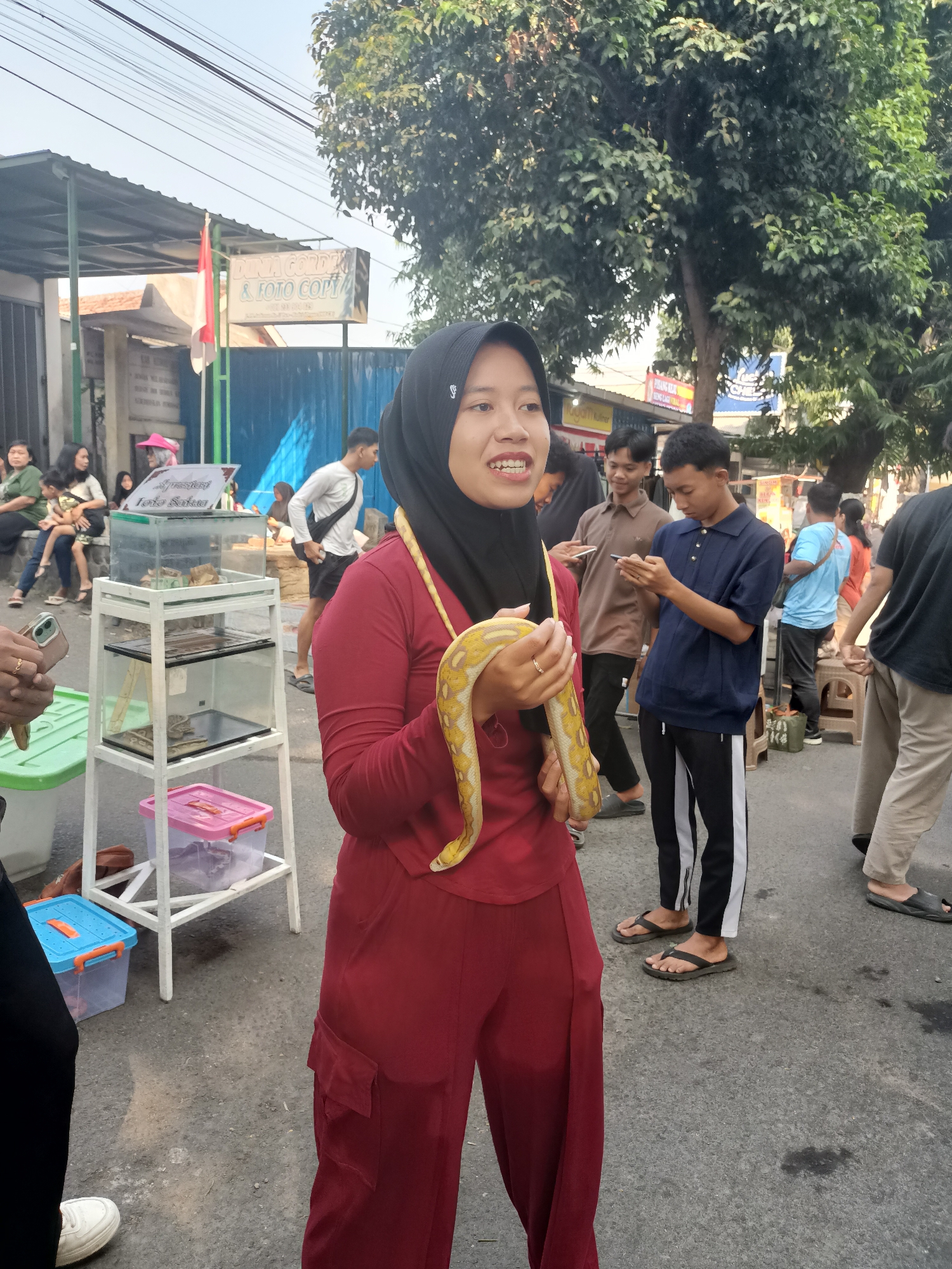 In Pare, Indonesia, a young woman wearing a black hijab and a maroon outfit holds a yellow python around her neck and shoulders. She is smiling and looking to her right. Several people are visible in the background. To her left, a white rack holds glass enclosures containing what appear to be reptiles, along with plastic storage bins. A sign above the enclosures reads "Dunia Corde & Foto Copy". The scene takes place outdoors on a paved surface, possibly a street or market, with trees and buildings in the background under a bright sky.