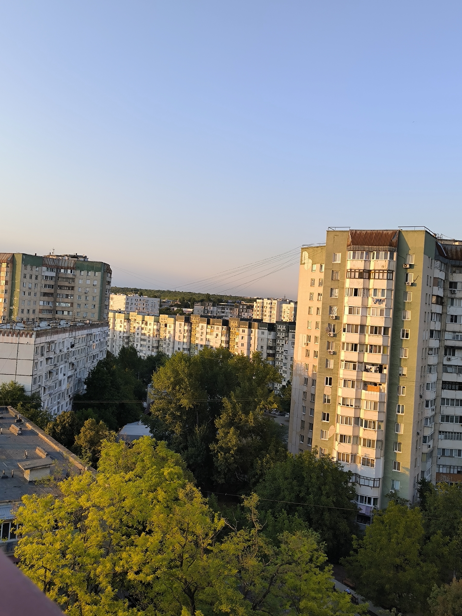 The image shows a cityscape in Chișinău, Moldova, bathed in the warm light of the late afternoon sun. Dominating the foreground are the tops of several large, Soviet-era apartment blocks, their pastel green and white facades catching the golden hour glow. Lush green trees, vibrant with the sunlight filtering through their leaves, fill the spaces between the buildings, creating a natural contrast with the urban architecture. The sky above is a clear, pale blue, transitioning to a soft peach hue near the horizon, indicative of sunset. In the distance, more apartment buildings and a line of trees can be seen, suggesting a dense residential area typical of Chișinău. There are no people or animals visible in the frame, and the scene is still and quiet. The image captures a moment of serene urban landscape at dusk.
