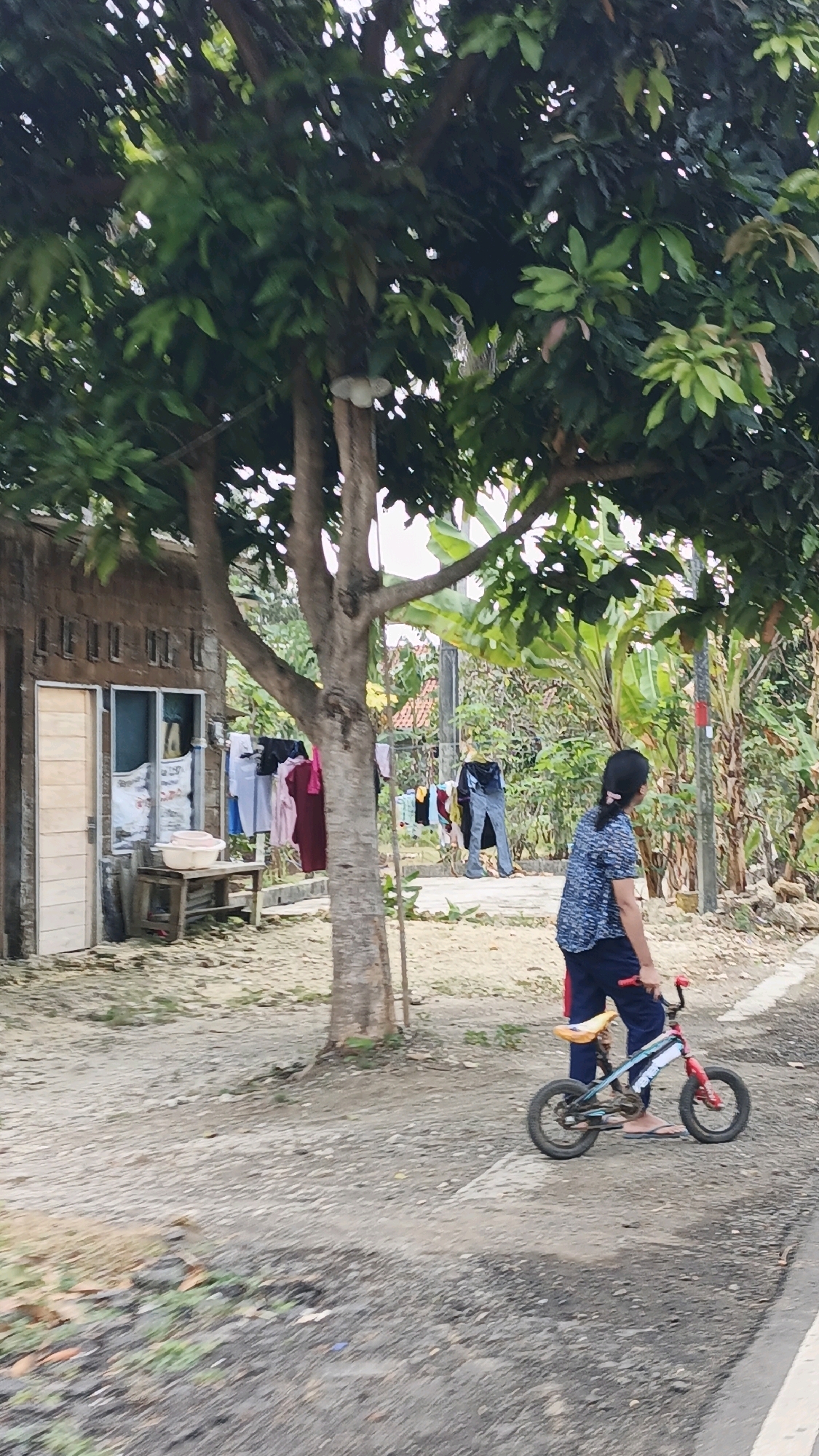 In Cibenda, Indonesia, a young girl with dark hair pulled back walks a small bicycle with red handlebars and frame, and a yellow seat on a gravelly path. She is wearing a dark blue patterned shirt and dark pants, with one foot bare and the other wearing a flip-flop. To the left, a weathered building with a light-colored door and window features a clothesline strung with various items of clothing. A wooden table with two light-colored basins sits in front of the building. A large tree with dense green foliage dominates the foreground. In the background, banana trees and other lush vegetation create a tropical atmosphere.