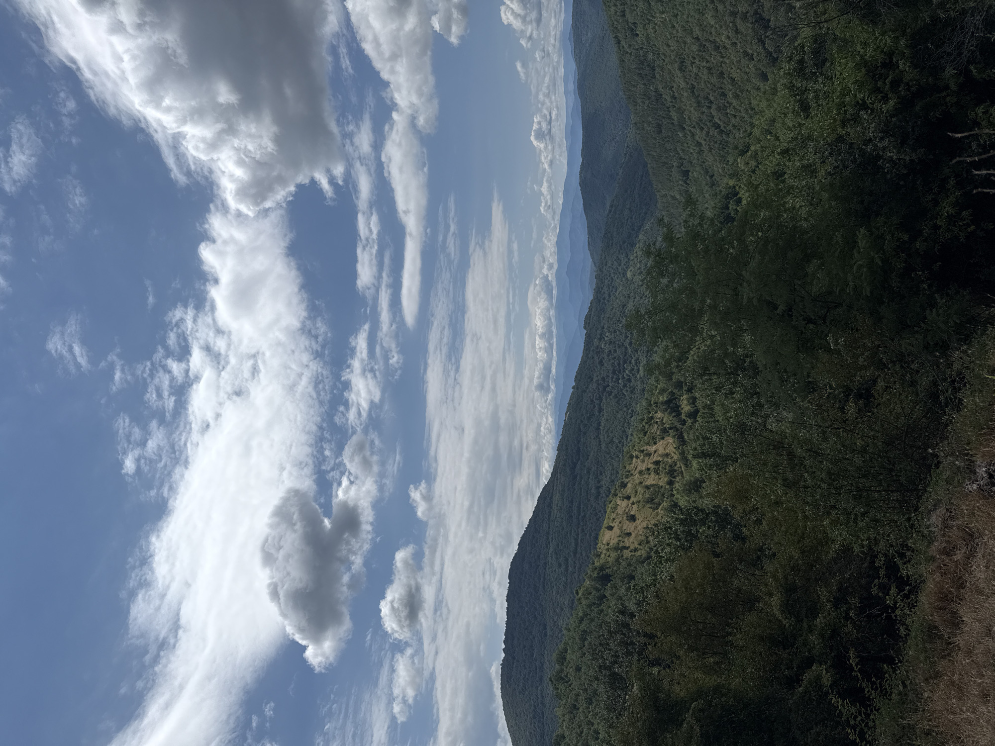The image depicts a panoramic view of rolling, densely forested hills under a bright blue sky dotted with fluffy white clouds. The foreground features dry, brown grasses and some dark green foliage. The hills, covered in a variety of green trees, recede into the distance, with successive layers of mountains visible in the hazy blue background. A lighter patch of grassy terrain with scattered trees is visible on the slope of one of the nearer hills. The sky exhibits a dramatic arrangement of clouds, with large, billowy formations and thinner, wispy streaks. The scene appears to be a natural landscape, likely in a mountainous region, with no people or man-made structures immediately apparent. The location is identified as Manaselska Reka, Bulgaria.