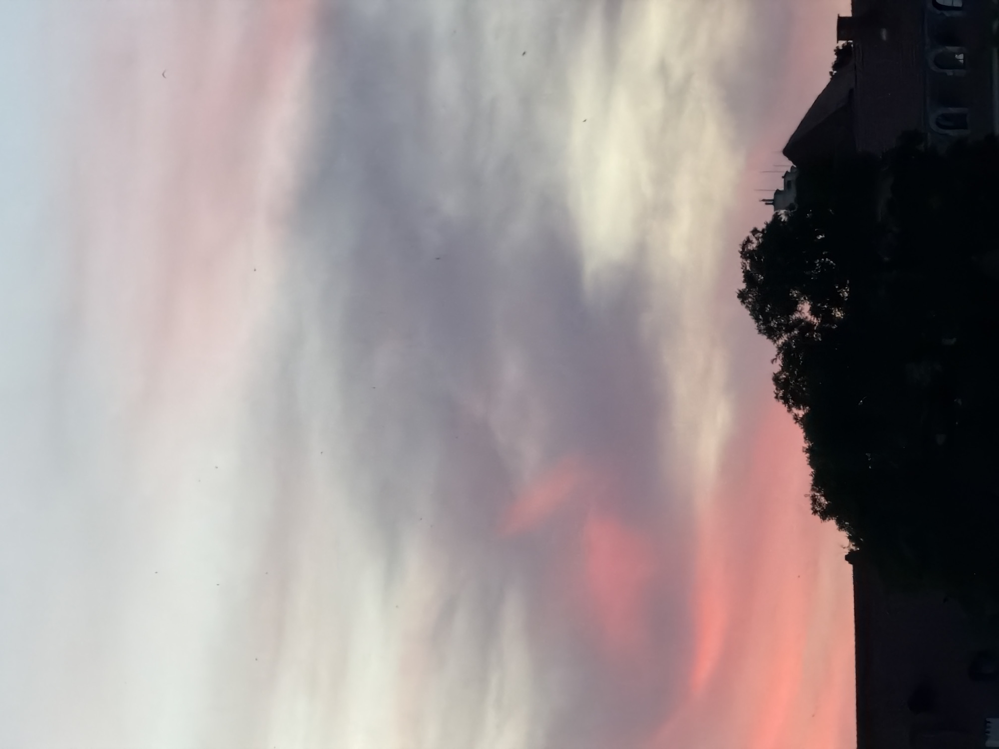 A panoramic shot captures a dusky sky over a European city. The sky is a canvas of soft hues, transitioning from a pale blue at the top to a vibrant pink and purple sunset on the lower half. Wispy clouds drift across the sky, some tinged with the sunset colors. In the foreground, the silhouettes of buildings and trees are visible, with the dark shapes of trees dominating the mid-ground and rooftops extending across the bottom. The architecture suggests an old European city. The overall mood is tranquil and serene, evoking a sense of peace as day transitions to night.