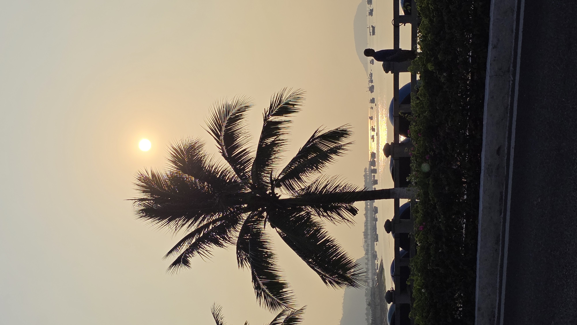 Here is a description of the image:
The image is a landscape oriented photograph, capturing a silhouette of a palm tree against a golden, hazy sky during what appears to be sunset or sunrise. The sun is a distinct, bright circle positioned behind the tree. In the background, there are boats reflected in the water.
On the right side of the image, there are elements of a bridge or elevated structure, including a railing and possibly some foliage. There is a dark silhouette of a person standing on the bridge, possibly looking out at the scene. The location is Bắc Nha Trang, Vietnam.