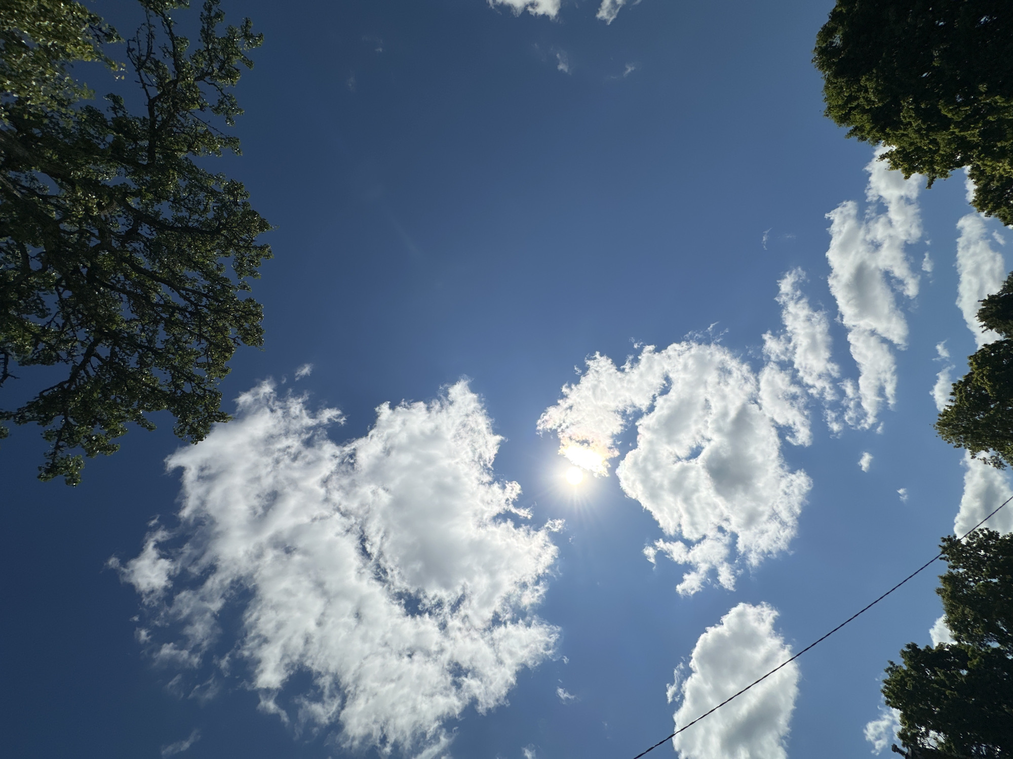 The image shows a clear blue sky with scattered white clouds. The sun is visible, partially obscured by clouds, casting a bright light. The tops of several leafy green trees are visible along the bottom edge of the frame, suggesting an outdoor environment. A thin black wire stretches diagonally across the lower left portion of the image. The scene appears to be a bright, sunny day in Norviliškės, Lithuania.
