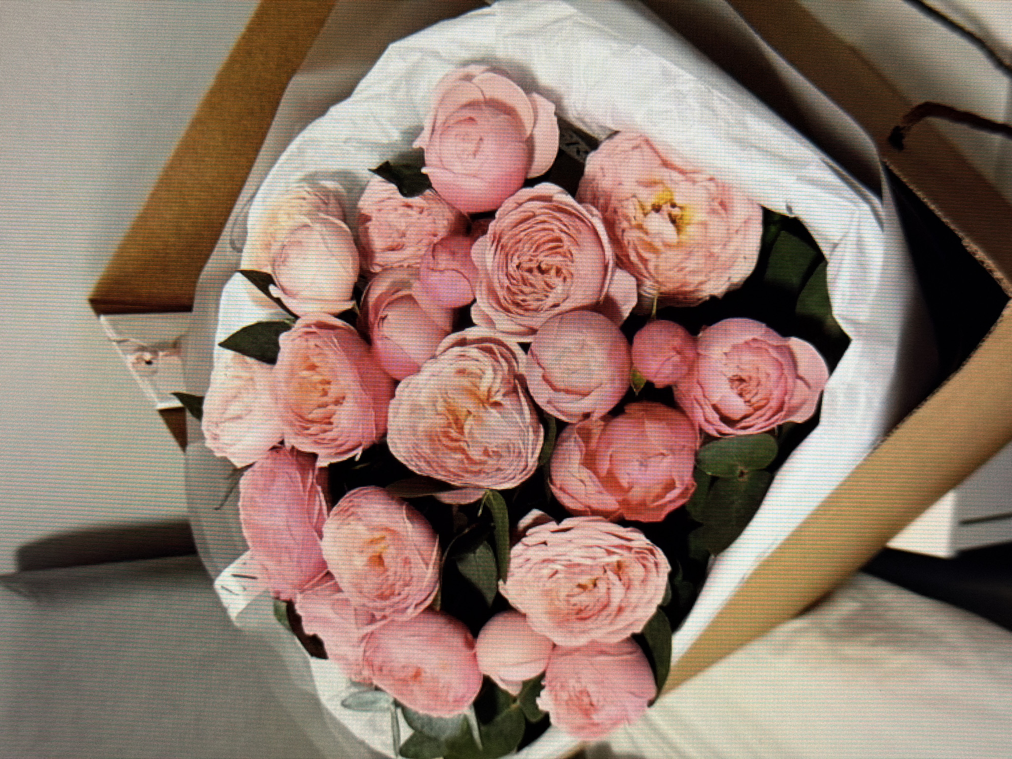 A close-up, high-angle shot shows a bouquet of pink roses in a brown cardboard box. The flowers are tightly packed and appear to be fully bloomed. Some green leaves are visible amongst the petals. The box is lined with white tissue paper, and a portion of the box lid is visible in the upper right corner. The background is out of focus and appears to be a textured surface, possibly a couch or upholstered furniture. There are no people or discernible actions in the image. The location within the city of Sirius, Russia, is not determinable from the visual information provided.