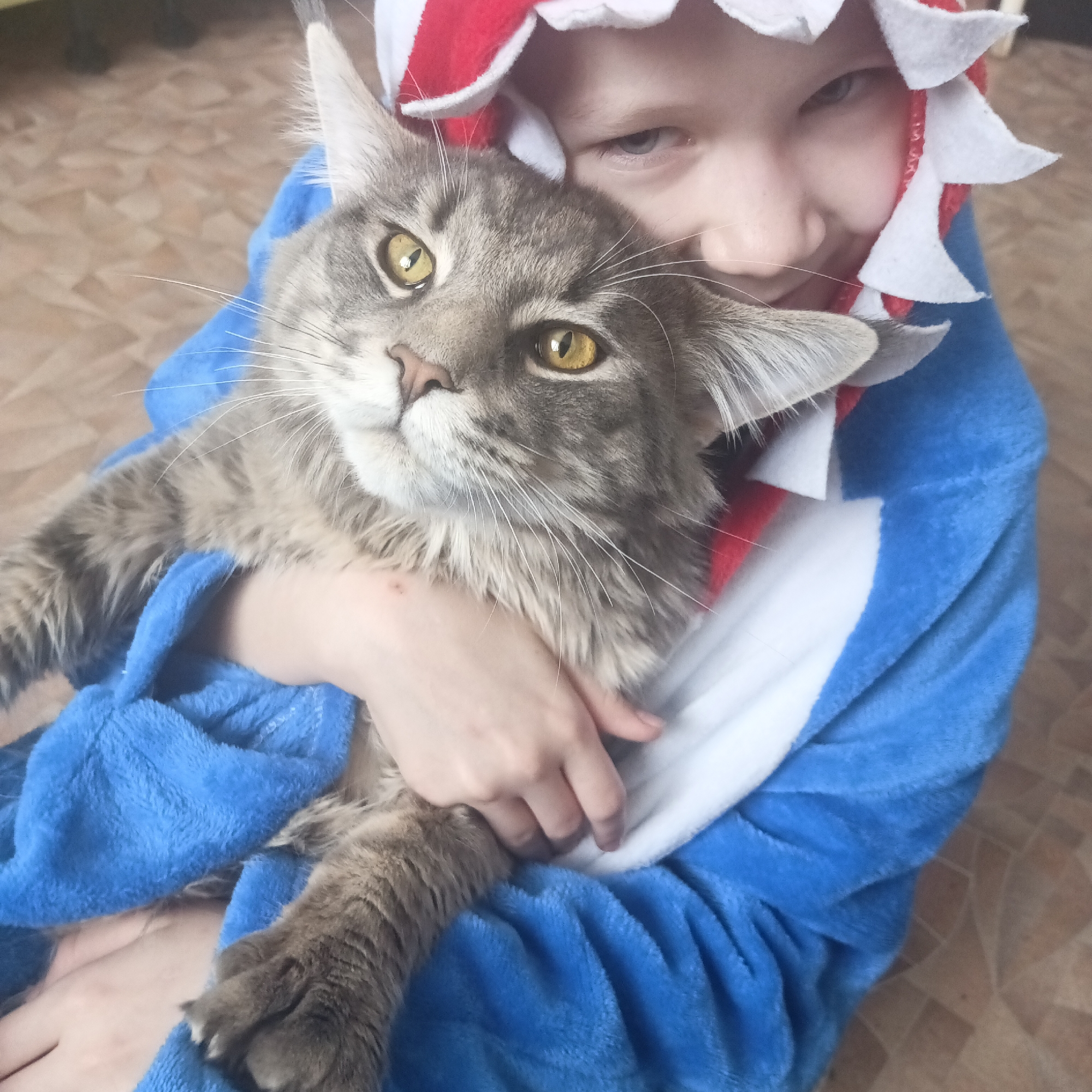 A young person in a blue and white shark onesie is hugging a grey tabby cat with yellow eyes. The location is implied to be in a building in the city of Chaikovsky, Russia based on the request. The young person's right cheek is touching the cat's head. The cat is held tightly in their arms. The background appears to be a tiled floor.