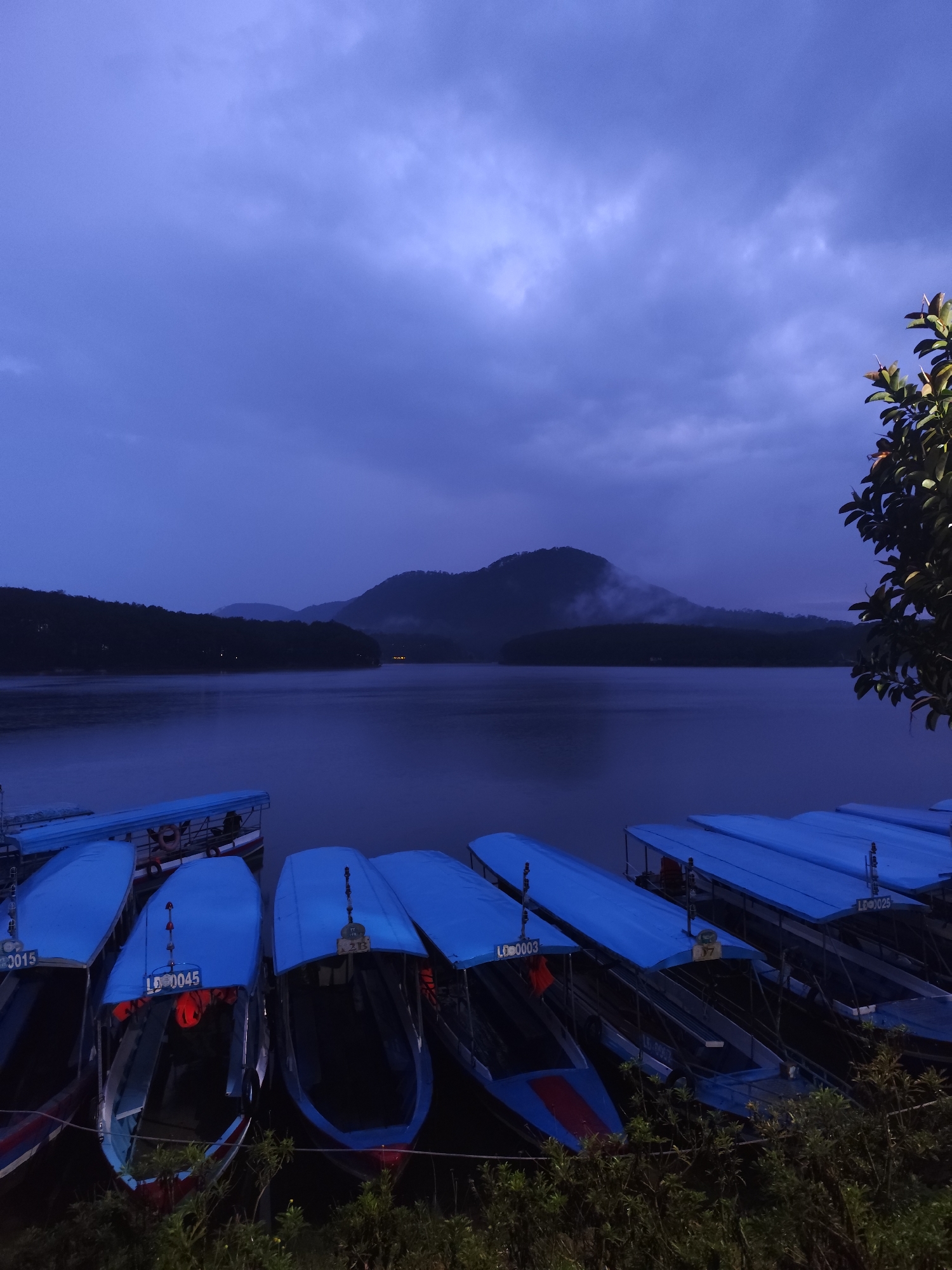 The image depicts a still body of water, likely a lake, under a cloudy, overcast sky. In the background, there are blurred mountain ranges with low-lying clouds or mist obscuring their peaks. The foreground consists of several boats lined up along the shore. These boats have blue canopies and are adorned with identification numbers. Vegetation is also visible at the bottom of the image, obscuring part of the boats.
Given the "Da Lat" keyword, it's highly plausible this is Xuan Huong Lake, a popular tourist destination in Da Lat, Vietnam, known for boat rentals.