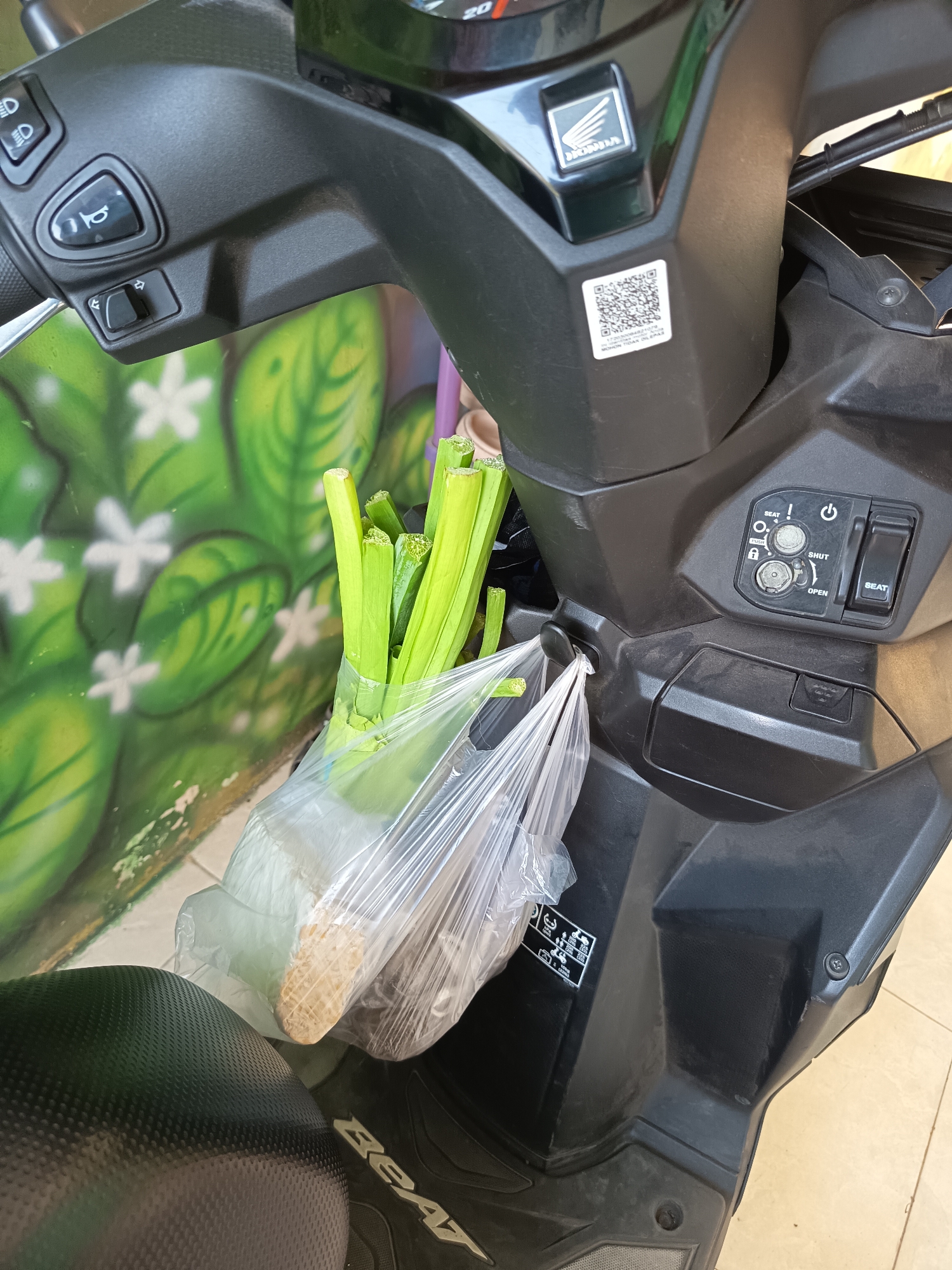 A bunch of green celery stalks, wrapped in a clear plastic bag, are hanging from a black motorcycle in Gebangan, Indonesia. The motorcycle is a Honda Beat, as indicated by the "Beat" logo on the seat. The background features a colorful mural of green leaves and white flowers. The image appears to have been taken outdoors, likely on a street or in a public area. The celery is the main subject of the image, and its placement on the motorcycle suggests it is being transported. The overall scene is casual and everyday, depicting a common mode of transportation and a common household item.