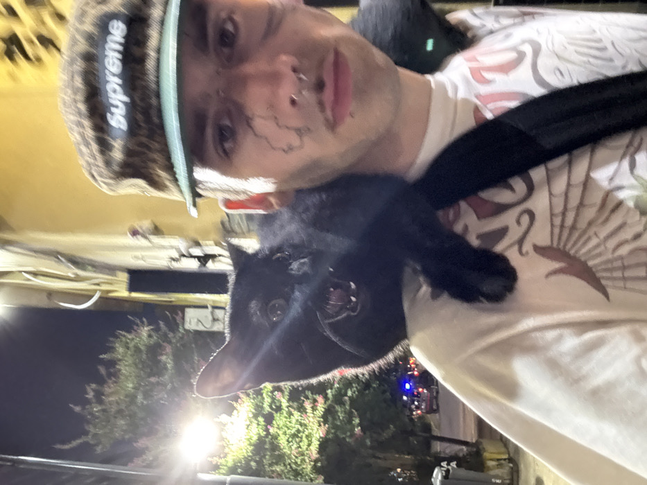 A person wearing a Supreme hat and a white t-shirt is holding a black cat in front of them. The person has piercings on their nose and what appears to be dark markings on their face. The background includes a building, trees, and street lights, suggesting an outdoor setting at night. The cat has its mouth slightly open.