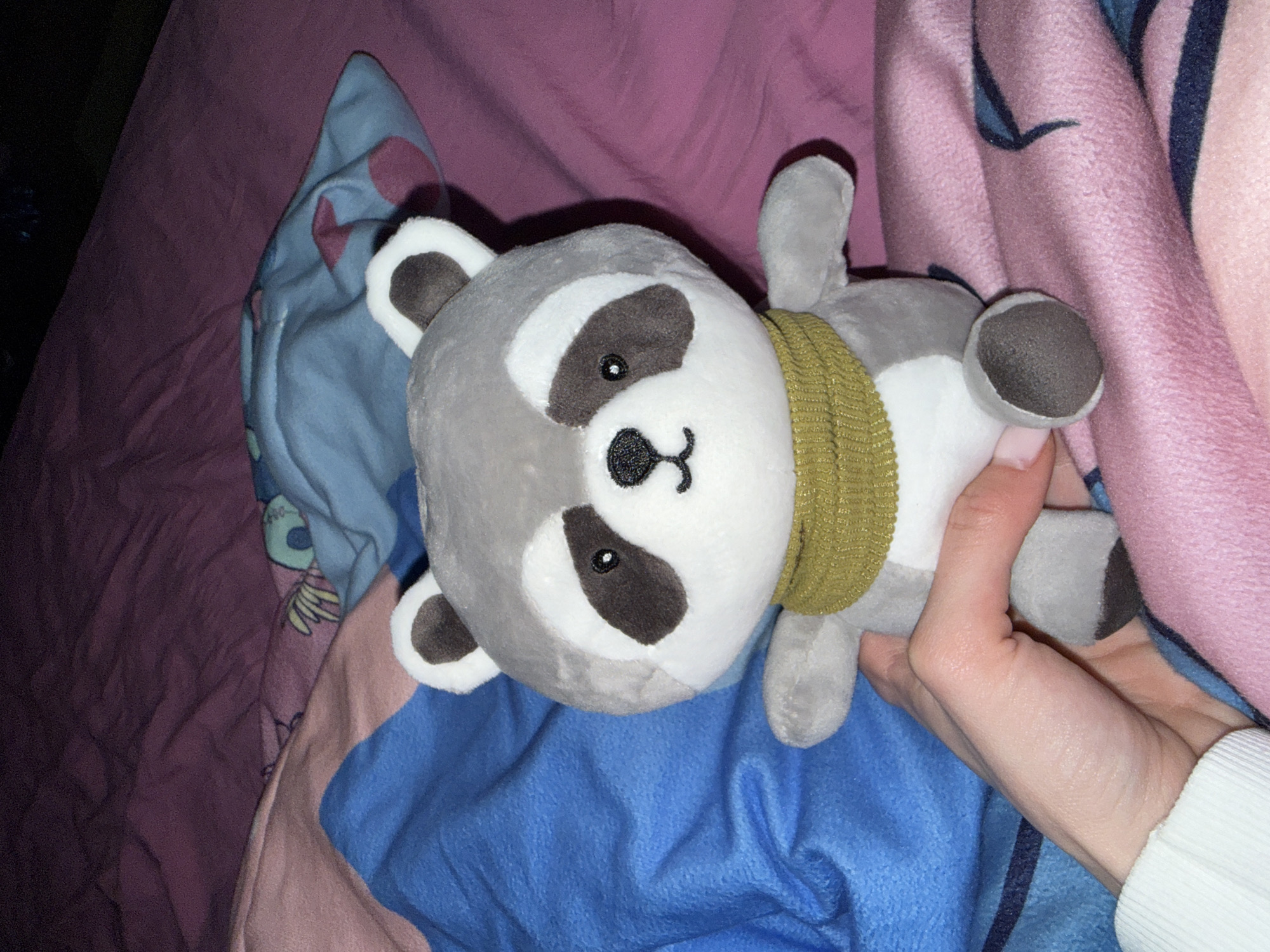 A plush raccoon toy lies on a bed with pink, purple, and blue blankets. The toy is grey and white with a brown mask and a green scarf. A hand holds the toy on its right side. The specific location in Plovdiv, Bulgaria is indeterminable.